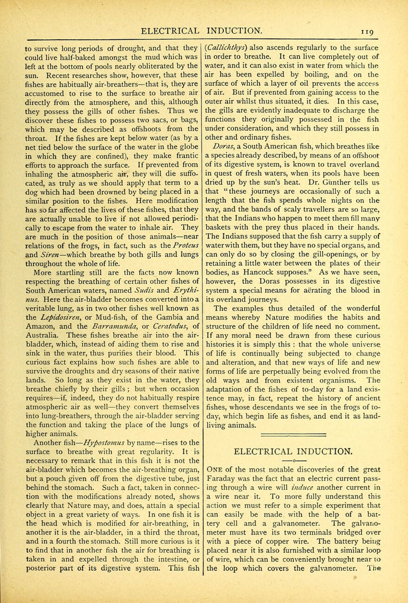 ELECTRICAL to survive long periods of drought, and that they could live half-baked amongst the mud which was left at the bottom of pools nearly obliterated by the sun. Recent researches show, however, that these fishes are habitually air-breathers—that is, they are accustomed to rise to the surface to breathe air directly from the atmosphere, and this, although they possess the gills of other fishes. Thus we discover these fishes to possess two sacs, or bags, which may be described as offshoots from the throat. If the fishes are kept below water (as by a net tied below the surface of the water in the globe in which they are confined), they make frantic efforts to approach the surface. If prevented from inhaling the atmospheric air, they will die suffo- cated, as truly as we should apply that term to a dog which had been drowned by being placed in a similar position to the fishes. Here modification has so far affected the lives of these fishes, that they are actually unable to live if not allowed periodi- cally to escape from the water to inhale air. They are much in the position of those animals—near relations of the frogs, in fact, such as the Proteus and Siren—which breathe by both gills and lungs throughout the whole of life. More startling still are the facts now known respecting the breathing of certain other fishes of South American waters, named Sudis and Erythi- nus. Here the air-bladder becomes converted into a veritable lung, as in two other fishes well known as the Lepidosiren, or Mud-fish, of the Gambia and Amazon, and the Barramtmda, or Ceratodus, of Australia. These fishes breathe air into the air- bladder, which, instead of aiding them to rise and sink in the water, thus purifies their blood. This curious fact explains how such fishes are able to survive the droughts and dry seasons of their native lands. So long as they exist in the water, they breathe chiefly by their gills ; but when occasion requires—if, indeed, they do not habitually respire atmospheric air as well—they convert themselves into lung-breathers, through the air-bladder serving the function and taking the place of the lungs of higher animals. Another fish—Hypostomiis byname—rises to the surface to breathe with great regularity. It is necessary to remark that in this fish it is not the air-bladder which becomes the air-breathing organ, but a pouch given off from the digestive tube, just behind the stomach. Such a fact, taken in connec- tion with the modifications already noted, shows clearly that Nature may, and does, attain a special object in a great variety of ways. In one fish it is the head which is modified for air-breathing, in another it is the air-bladder, in a third the throat, and in a fourth the stomach. Still more curious is it to find that in another fish the air for breathing is taken in and expelled through the intestine, or posterior part of its digestive system. This fish INDUCTION. {Callichthys) also ascends regularly to the surface in order to breathe. It can live completely out of water, and it can also exist in water from which the air has been expelled by boiling, and on the surface of which a layer of oil prevents the access of air. But if prevented from gaining access to the outer air whilst thus situated, it dies. In this case, the gills are evidently inadequate to discharge the functions they originally possessed in the fish under consideration, and which they still possess in other and ordinary fishes. Doras, a South American fish, which breathes like a species already described, by means of an off'shoot of its digestive system, is known to travel overland in quest of fresh waters, when its pools have been dried up by the sun's heat. Dr. Giinther tells us that these journeys are occasionally of such a length that the fish spends whole nights on the way, and the bands of scaly travellers are so large, that the Indians who happen to meet them fill many- baskets with the prey thus placed in their hands. The Indians supposed that the fish carry a supply of water with them, but they have no special organs, and can only do so by closing the gill-openings, or by retaining a little water between the plates of their bodies, as Hancock supposes. As we have seen, however, the Doras possesses in its digestive system a special means for aerating the blood in its overland journeys. The examples thus detailed of the wonderful means whereby Nature modifies the habits and structure of the children of life need no comment. If any moral need be drawn from these curious histories it is simply this : that the whole universe of life is continually being subjected to change and alteration, and that new ways of life and new forms of life are perpetually being evolved from the old ways and from existent organisms. The adaptation of the fishes of to-day for a land exis- tence may, in fact, repeat the history of ancient fishes, whose descendants we see in the frogs of to- day, which begin life as fishes, and end it as land- living animals. ELECTRICAL INDUCTION. One of the most notable discoveries of the great Faraday was the fact that an electric current pass- ing through a wire will induce another current in a wire near it. To more fully understand this action we must refer to a simple experiment that can easily be made, with the help of a bat- tery cell and a galvanometer. The galvano- meter must have its two terminals bridged over with a piece of copper wire. The battery being placed near it is also furnished with a similar loop of wire, which can be conveniently brought near lu the loop which covers the galvanometer. Th©