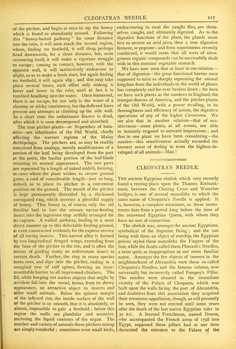 of the pitcher, and begin at once to sip the honey which is found so abundantly around. Following this honey-baited pathway for some distance into the tube, it will soon reach the second region, where, finding no foothold, it will drop, perhaps head downwards, for a short distance, but, soon recovering itself, it will make a vigorous struggle to escape; coming in contact, however, with the opposite wall, it will instinctively endeavour to aHght, so as to make a fresh start, but again finding no foothold, it will again sHp ; and this may take place several times, each effort only sinking it lower and lower in the tube, until at last it is tumbled headlong into the water. Once immersed, there is no escape, for not only is the water of a clammy or sticky consistency, but the deflexed hairs prevent any attempts at climbing up the side wall. In a short time the unfortunate feaster is dead, after which it is soon decomposed and absorbed. The true pitcher-plants—or Nepenthes of bota- nists—are inhabitants of the Old World, chiefly affecting the warmer regions of the Malay Archipelago. The pitchers are, as may be readily conceived from analogy, merely modifications of a portion of the leaf, being developed from the part at the point, the basilar portion of the leaf-blade retaining its normal appearance. The two parts are separated by a length of naked midrib, forming, in cases where the plant wishes to secure ground game, a cord of considerable length—^just so long, indeed, as to place its pitcher in a, convenient position on the ground. The mouth of the pitcher is kept permanently distended by a thickened corrugated ring, which secretes a plentiful supply of honey. This honey is, of course, only the old familiar bait to lure the unwary nectar-feeding insect into the ingenious trap artfully arranged for its capture. A walled pathway, leading in a most direct manner up to this delectable feeding-ground, is even constructed evidently for the express service of all roving insects. This narrow alley is formed by two longitudinal fringed wings, extending from the base of the pitcher to the rim, and is often the means of guiding many an unfortunate insect to certain death. Further, the ring in many species turns over, and dips into the pitcher, ending in a marginal row of stiff spines, forming an insur- mountable barrier to all imprisoned climbers. The lid, while keeping out useless objects that might by accident fall into the vessel, forms, from its showy appearance, an attractive object to insects and Other small animals. Below the spinose margin of the inflexed rim, the inside surface of the wall of the pitcher is so smooth, that it is absolutely, or almost, impossible to gain a foothold ; below this region the walls are glandular and secretive, enclosing the liquid contents of the organ. The number and variety of animals these pitchers entrap are simply wonderful; sometimes even small birds, endeavouring to steal the caught flies, are them- selves caught, and ultimately digested. As to the digestive functions of the plant, the glands seem first to secrete an acid juice, then a true digestive ferment, or peptone; and from experiments recently conducted, it would seem that all sorts of nitro- genous organic compounds can be successfully dealt with in this monster vegetable stomach. We have now seen that at least in one relation—■ that of digestion—the great functional barrier once supposed to exist as sharply separating the animal kingdom from the individuals in the world of plants has completely and for ever broken down ; for here we have such plants as the sundews in England, the trumpet-flowers of America, and the pitcher-plants of the Old World, with a power rivalling, in its thoroughness and efficiency of action, the digestive operations of any of the higher Carnivora. We see also that in another relation—that of sen- sitiveness—some plants, at all events, are able to instantly resj)ond to outward impressions ; and that in one plant we have been considering—the sundew—this sensitiveness actually exceeded the keenest sense of feeling in even the highest-de- veloped of all animals—Man ! CLEOPATRA'S NEEDLE. The ancient Egyptian obelisk which very recently found a resting-place upon the Thames Embank- ment, between the Charing Cross and Waterloo bridges, is one of several monoliths to which the same name of Cleopatra's Needle is applied. It is, however, a complete misnomer, as these monu- ments date from a period long before the time of the renowned Egyptian Queen, with whom they have no sort of connection. The obelisk was, amongst the ancient Egyptians, symbolical of the Supreme Being ; and the sun being with them an object of worship, the Egyptian priests styled these monoliths the Fingers of the Sun, while the Arabs called them Pharaoh's Needles, a term quite as inappropriate as our more familiar name. Amongst the few objects of interest in the neighbourhood of Alexandria were these so-called Cleopatra's Needles, and the famous column, now universally but incorrectly called Pompey's Pillar. The needles were situated in the immediate vicinity of the Palace of Cleopatra, which was built upon the walls facing the port of Alexandria, and doubtless from this association they acquired their erroneous appellation, though, as will presently be seen, they were not erected until some years after the death of the last native Egyptian ruler in 30 B.C. A learned Frenchman, named Denon, who accompanied the French army of 1798 into Egypt, supposed these pillars had at one time decorated the entrance to the Palace of the