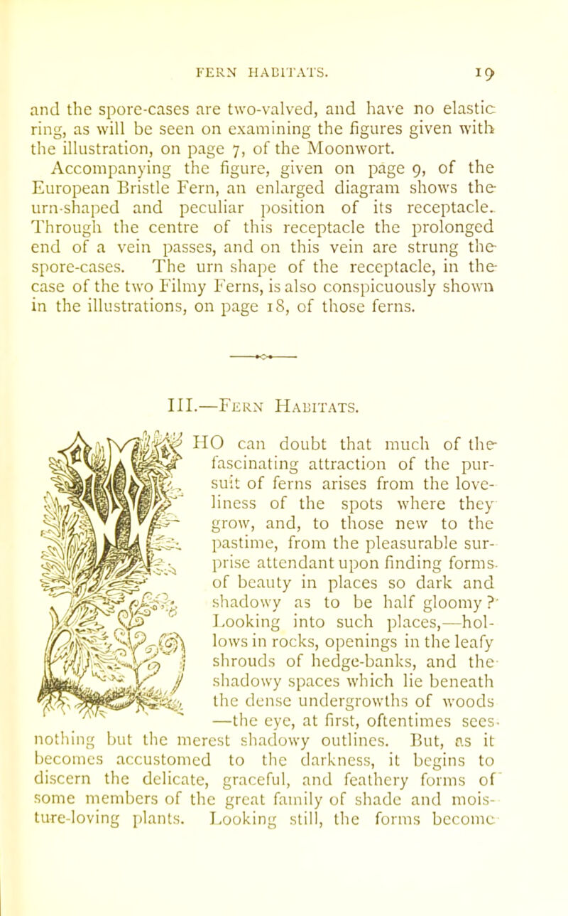 and the spore-cases are two-valved, and have no elastic ring, as will be seen on examining the figures given with the illustration, on page 7, of the Moonwort. Accompanying the figure, given on page 9, of the European Bristle Fern, an enlarged diagram shows the urn-shaped and peculiar position of its receptacle. Through the centre of this receptacle the prolonged end of a vein passes, and on this vein are strung the spore-cases. The urn shape of the receptacle, in the case of the two Filmy Ferns, is also conspicuously shown in the illustrations, on page 18, of those ferns. III.—Fern Hauitats. O can doubt that much of the fascinating attraction of the pur- suit of ferns arises from the love- liness of the spots where they grow, and, to those new to the pastime, from the pleasurable sur- prise attendant upon finding forms, of beauty in places so dark and shadowy as to be half gloomy ?' Looking into such places,—hol- lows in rocks, openings in the leafy shrouds of hedge-banks, and the shadowy spaces which lie beneath the dense undergrowlhs of woods —the eye, at first, oftentimes sees- nothing but the merest shadowy outlines. But, as it becomes accustomed to the darkness, it begins to di.scern the delicate, graceful, and feathery forms of some members of the great family of shade and mois- ture-loving jilants. Looking still, the forms become