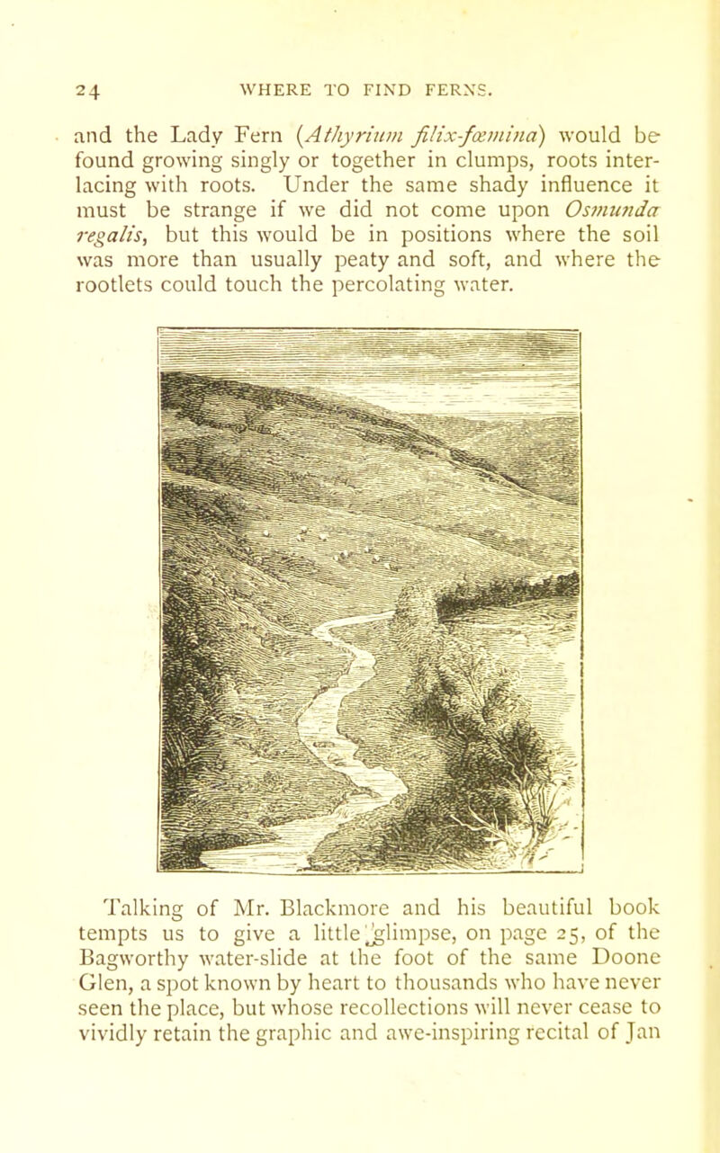 and the Lady Fern {Athyriuju filix-fceniina) would be found growing singly or together in clumps, roots inter- lacing with roots. Under the same shady influence it must be strange if we did not come upon Osmimda 7-ega/is, but this would be in positions where the soil was more than usually peaty and soft, and where tlie rootlets could touch the percolating water. Talking of Mr. Blackmore and his beautiful book tempts us to give a little glimpse, on page 25, of the Bagworthy water-slide at the foot of the same Doone Glen, a spot known by heart to thousands who have never seen the place, but whose recollections will never cease to vividly retain the graphic and awe-inspiring recital of Jan