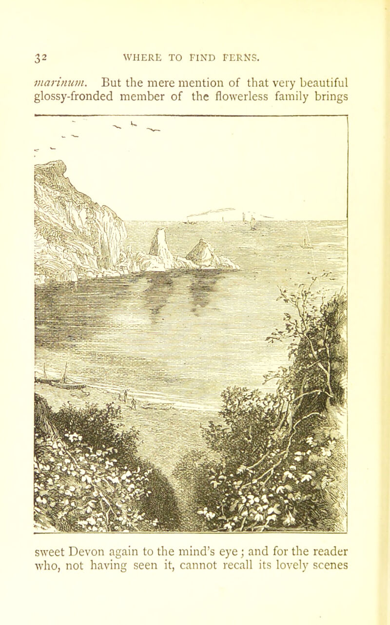 viarimim. But the mere mention of that veiy beautiful glossy-fronded member of the flowerless family brings sweet Devon again to the mind's eye; and for the reader who, not having seen it, cannot recall its lovely scenes