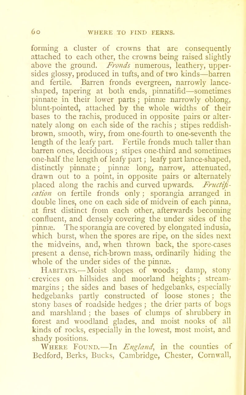forming a cluster of crowns that are consequently attached to each other, the crowns being raised slightly above the ground. Fronds numerous, leathery, upper- sides glossy, produced in tufts, and of two kinds—barren and fertile. Barren fronds evergreen, narrowly lance- shaped, tapering at both ends, pinnatifid—sometimes pinnate in their lower parts ; pinnae narrowly oblong, blunt-pointed, attached by the whole widths of their bases to the rachis, produced in opposite pairs or alter- nately along on each side of the rachis; stipes reddish- brown, smooth, wiry, from one-fourth to one-seventh the length of the leafy part. Fertile fronds much taller than barren ones, deciduous; stipes one-third and sometimes one-half the length of leafy part; leafy part lance-shaped, distinctly pinnate; pinnae long, narrow, attenuated, drawn out to a point, in opposite pairs or alternatel)- placed along the rachis and curved upwards. Fructifi- cation on fertile fronds only; sporangia arranged in double lines, one on each side of midvein of each pinna, at first distinct from each other, afterwards becoming confluent, and densely covering the under sides of the pinnae. The sporangia are covered by elongated indusia, which burst, when the spores are ripe, on the sides next the midveins, and, when thrown back, the spore-cases present a dense, rich-brown mass, ordinarily hiding the whole of the under sides of the pinnae. Habitats.—Moist slopes of woods; damp, stony ■ crevices on hillsides and moorland heights; stream- margins ; the sides and bases of hedgebanks, especially hedgebanks partly constructed of loose stones; the stony bases of roadside hedges ; the drier parts of bogs and marshland ; the bases of clumps of shrubbery in forest and woodland glades, and moist nooks of all kinds of rocks, especially in the lowest, most moist, and shady positions. Where Found.—In England, in the counties of Bedford, Berks, Bucks, Cambridge, Chester, Cornwall,