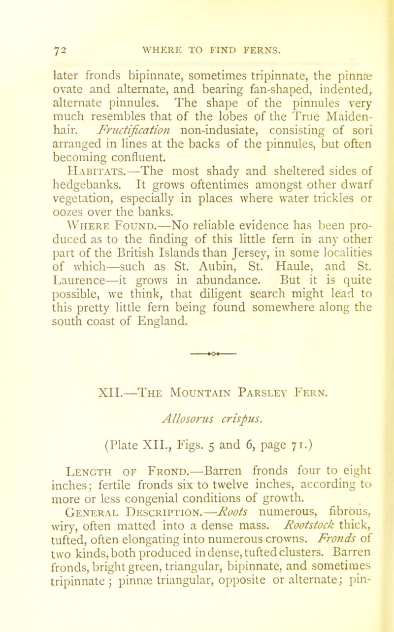 later fronds bipinnate, sometimes tripinnate, the pinnre ovate and alternate, and bearing fan-shaped, indented, alternate pinnules. The shape of the pinnules very- much resembles that of the lobes of the True Maiden- hair. Frtictification non-indusiate, consisting of sori arranged in lines at the backs of the pinnules, but often becoming confluent. Habitats.—The most shady and sheltered sides of hedgebanks. It grows oftentimes amongst other dwarf vegetation, especially in places where water trickles or oozes over the banks. Where Found.—No reliable evidence has been pro- duced as to the finding of this little fern in any other part of the British Islands than Jersey, in some localities of which—such as St. Aubin, St. Haule, and St. Laurence—it grows in abundance. But it is quite possible, we think, that diligent search might lead to this pretty little fern being found somewhere along the south coast of England. XII.—The Mountain Parsley Fern. Allosorus crispus. (Plate XII., Figs. 5 and 6, page 71.) Length of Frond.—Barren fronds four to eight inches; fertile fronds six to twelve inches, according to more or less congenial conditions of growth. General Description.—Roots numerous, fibrous, wiry, often matted into a dense mass. Rootstock thick, tufted, often elongating into numerous crowns. Fronds of two kinds, both produced in dense, tufted clusters. Barren fronds, bright green, triangular, bipinnate, and sometimes tripinnate; pinnai triangular, opposite or alternate; pin-