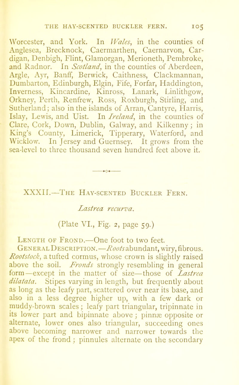 THE HAY-SCENTED BUCKLER FERN. Worcester, and York. In IVa/es, in the counties of Anglesea, Brecknock, Caermarthen, Caernarvon, Car- digan, Denbigh, FUnt, Glamorgan, Merioneth, Pembroke, and Radnor. In Scotland, in the counties of Aberdeen, Argle, A.yx, Banff, Berwick, Caithness, Clackmannan, Dumbarton, Edinburgh, Elgin, Fife, Forfar, Haddington, Inverness, Kincardine, Kinross, Lanark, LinHthgow, Orkney, Perth, Renfrew, Ross, Ro.xburgh, Stirling, and Sutherland; also in the islands of Arran, Cantyre, Harris, Islay, Lewis, and Uist. In Ireland, in the counties of Clare, Cork, Down, Dublin, Galway, and Kilkenny; in King's County, Limerick, Tipperary, Waterford, and Wicklow. In Jersey and Guernsey. It grows from the sea-level to three thousand seven hundred feet above it. XXXII.—The Hay-scented Buckler Fern. Lastrea reciirva. (Plate VI., Fig. 2, page 59.) Length of Frond.—One foot to two feet. General Description.—7i<?^7/5abundant, wiry, fibrous. Rooistock, a tufted cormus, whose crown is slightly raised above the soil. Fronds strongly resembling in general form—e.xcept in the matter of size—those of Lastrea dilatata. Stipes varying in length, but frequently about as long as the leafy part, scattered over near its base, and also in a less degree higher up, with a few dark or muddy-brown scales; leafy part triangular, tripinnate in its lower part and bipinnate above ; pinnae opposite or alternate, lower ones also triangular, succeeding ones above becoming narrower and narrower towards the apex of the frond; pinnules alternate on the secondary