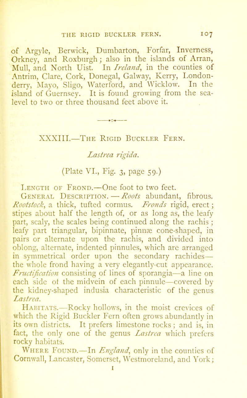 of Argyle, Berwick, Dumbarton, Forfar, Inverness, Orkney, and Roxburgh; also in the islands of Arran, Mull, and North Uist. In Ireland, in the counties of Antrim, Clare, Cork, Donegal, Galway, Kerry, London- derry, Mayo, Sligo, Waterford, and Wicklow. In the island of Guernsey. It is found growing from the sca- level to two or three thousand feet above it. XXXIII.—The Rigid Buckler Fern. Lastrea rigida. (Plate VI., Fig. 3, page 59.) Length of Frond.—One foot to two feet. General Description.—Roots abundant, fibrous. Kootstock, a thick, tufted cormus. Fronds rigid, erect; stipes about half the length of, or as long as, the leafy part, scaly, the scales being continued along the rachis ; leafy part triangular, bipinnate, pinna: cone-shaped, in pairs or alternate upon the rachis, and divided into oblong, alternate, indented pinnules, which arc arranged in symmetrical order upon the secondary rachides— the whole frond having a very elegantly-cut appearance. Frnctification consisting of lines of sporangia—a line on each side ot the midvein of each pinnule—covered by the kidney-shaped indusia characteristic of the genus Lastrea. Hamitats.—Rocky hollows, in the moist crevices of which the Rigid Buckler Fern often grows abundantly in its own districts. It prefers limestone rocks ; and is, in fact, the only one of the genus Lastrea which prefers rocky habitats. Where Found.—In England, only in the counties of Cornwall, Lancaster, Somerset, Westmoreland, and York; I
