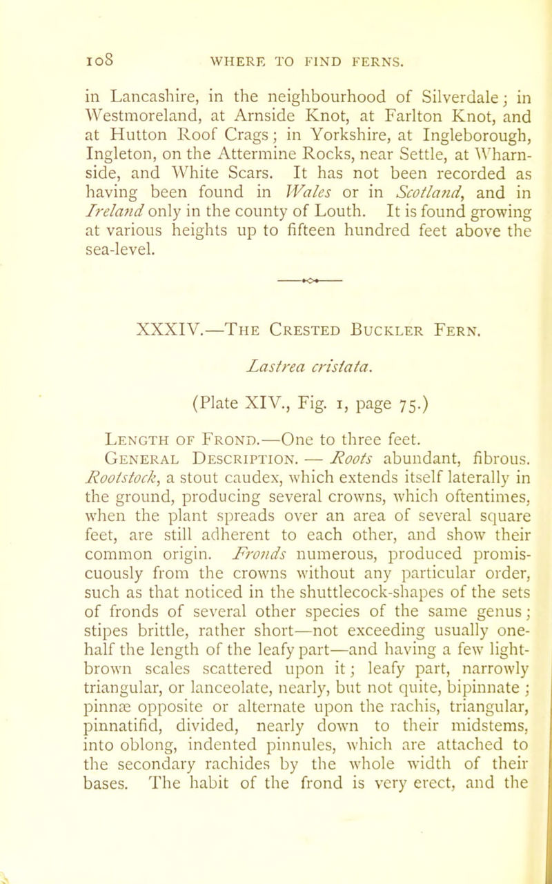 in Lancashire, in the neighbourhood of Silverdale; in Westmoreland, at Arnside Knot, at Farlton Knot, and at Hutton Roof Crags; in Yorkshire, at Ingleborough, Ingleton, on the Attermine Rocks, near Settle, at Wharn- side, and White Scars. It has not been recorded as having been found in Wales or in Scotland, and in h-eland only in the county of Louth. It is found growing at various heights up to fifteen hundred feet above the sea-level. XXXIV.—The Crested Buckler Fern. Lastna crisiata. (Plate XIV., Fig. i, page 75.) Length of Frond.—One to three feet. General Description. — Roots abundant, fibrous. Roolstock, a stout caudex, which extends itself laterally in the ground, producing several crowns, which oftentimes, when the plant spreads over an area of several square feet, are still adherent to each other, and show their common origin. Fronds numerous, produced promis- cuously from the crowns without any particular order, such as that noticed in the shuttlecock-shapes of the sets of fronds of several other species of the same genus; stipes brittle, rather short—not exceeding usually one- half the length of the leafy part—and having a few light- brown scales scattered upon it; leafy part, narrowly triangular, or lanceolate, nearly, but not quite, bipinnate ; pinnae opposite or alternate upon the rachis, triangular, pinnatifid, divided, nearly down to their midstems, into oblong, indented pinnules, which are attached to the secondary rachides by the whole width of their bases. The habit of the frond is very erect, and the