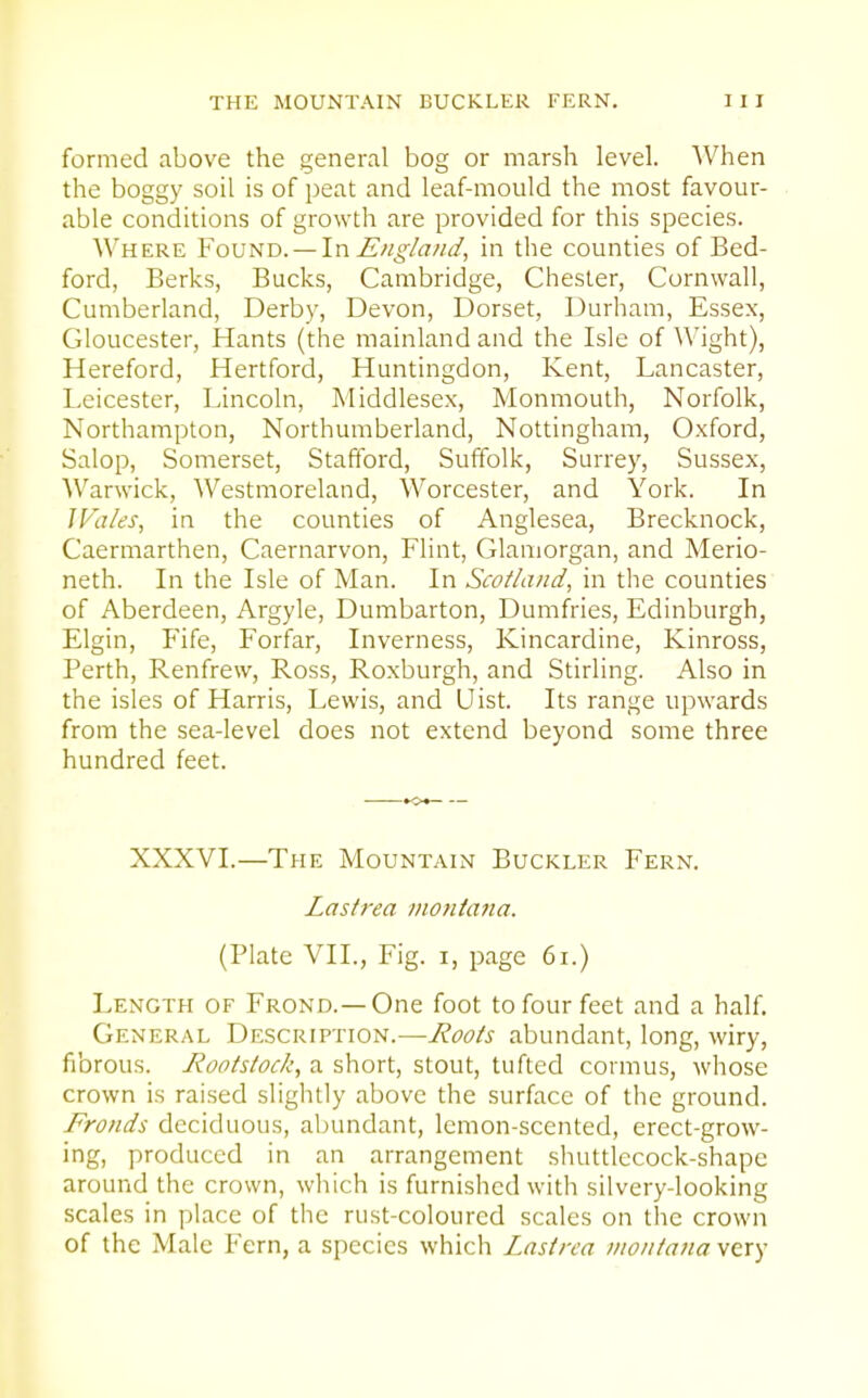 formed above the general bog or marsh level. When the boggy soil is of peat and leaf-mould the most favour- able conditions of growth are provided for this species. Where Found. — InEngland, in the counties of Bed- ford, Berks, Bucks, Cambridge, Chester, Cornwall, Cumberland, Derby, Devon, Dorset, Durham, Essex, Gloucester, Hants (the mainland and the Isle of Wight), Hereford, Hertford, Huntingdon, Kent, Lancaster, Leicester, Lincoln, Middlesex, Monmouth, Norfolk, Northampton, Northumberland, Nottingham, Oxford, Salop, Somerset, Stafford, Suffolk, Surrey, Sussex, Warwick, Westmoreland, Worcester, and York. In Wales, in the counties of Anglesea, Brecknock, Caermarthen, Caernarvon, Flint, Glamorgan, and Merio- neth. In the Isle of Man. In Scotland, in the counties of Aberdeen, Argyle, Dumbarton, Dumfries, Edinburgh, Elgin, Fife, Forfar, Inverness, Kincardine, Kinross, Perth, Renfrew, Ross, Roxburgh, and Stirling. Also in the isles of Harris, Lewis, and Uist. Its range upwards from the sea-level does not extend beyond some three hundred feet. XXXVI.—The Mountain Buckler Fern. Lastrea nionta7ta. (Plate VII., Fig. i, page 6i.) Length of Frond.—One foot to four feet and a half. General Description.—i?(7<7/j abundant, long, wiry, fibrous. Rootstock, a short, stout, tufted cormus, whose crown is raised slightly above the surface of the ground. Fronds deciduous, abundant, lemon-scented, erect-grow- ing, produced in an arrangement shuttlecock-shape around the crown, which is furnished with silvery-looking scales in place of the rust-coloured scales on the crown of the Male Fern, a species which Lnsirca Montana very