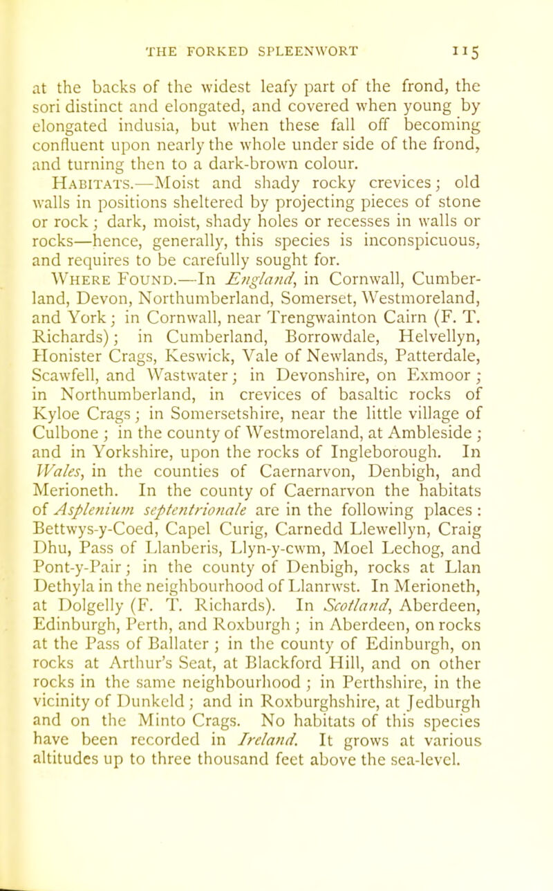 THE FORKED SPLEENWORT 5 at the backs of the widest leafy part of the frond, the sori distinct and elongated, and covered when young by elongated indusia, but when these fall off becoming confluent upon nearly the whole under side of the frond, and turning then to a dark-brown colour. Habitats.—Moist and shady rocky crevices; old walls in positions sheltered by projecting pieces of stone or rock; dark, moist, shady holes or recesses in walls or rocks—hence, generally, this species is inconspicuous, and requires to be carefully sought for. Where Found.—In Efigla?id, in Cornwall, Cumber- land, Devon, Northumberland, Somerset, Westmoreland, and York; in Cornwall, near Trengwainton Cairn (F. T. Richards); in Cumberland, Borrowdale, Helvellyn, Honister Crags, Keswick, Vale of Newlands, Patterdale, Scawfell, and Wastwater; in Devonshire, on Exmoor ; in Northumberland, in crevices of basaltic rocks of Kyloe Crags; in Somersetshire, near the little village of Culbone ; in the county of Westmoreland, at Ambleside ; and in Yorkshire, upon the rocks of Ingleborough. In Wales, in the counties of Caernarvon, Denbigh, and Merioneth. In the county of Caernarvon the habitats of Asplenium septentrionale are in the following places : Bettwys-y-Coed, Capel Curig, Carnedd Llewellyn, Craig Dhu, Pass of Llanberis, Llyn-y-cwm, Moel Lechog, and Pont-y-Pair; in the county of Denbigh, rocks at Llan Dethyla in the neighbourhood of Llanrwst. In Merioneth, at Dolgelly (F. T. Richards). In Scotland, Aberdeen, Edinburgh, Perth, and Roxburgh ; in Aberdeen, on rocks at the Pass of Ballater ; in the county of Edinburgh, on rocks at Arthur's Seat, at Blackford Hill, and on other rocks in the same neighbourliood ; in Perthshire, in the vicinity of Dunkcid ; and in Roxburghshire, at Jedburgh and on the Minto Crags. No habitats of this species have been recorded in Ireland. It grows at various altitudes up to three thousand feet above the sea-levcl.