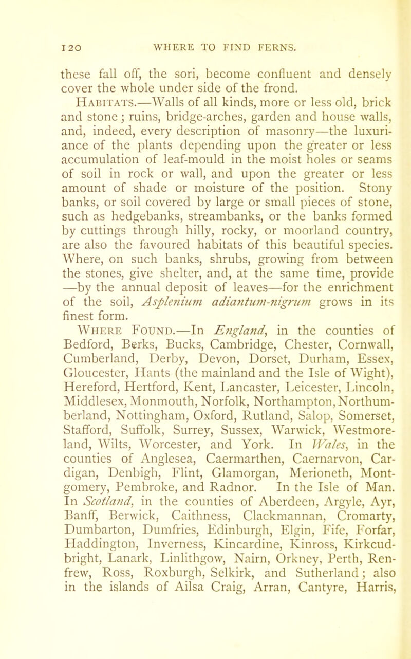 these fall off, the sori, become confluent and densely cover the whole under side of the frond. Habitats.—AValls of all kinds, more or less old, brick and stone; ruins, bridge-arches, garden and house walls, and, indeed, every description of masonry—the luxuri- ance of the plants depending upon the greater or less accumulation of leaf-mould in the moist holes or seams of soil in rock or wall, and upon the greater or less amount of shade or moisture of the position. Stony banks, or soil covered by large or small pieces of stone, such as hedgebanks, streambanks, or the banks formed by cuttings through hilly, rocky, or moorland country, are also the favoured habitats of this beautiful species. Where, on such banks, shrubs, growing from betv.'een the stones, give shelter, and, at the same time, provide —by the annual deposit of leaves—for the enrichment of the soil, Asple7iiiim adiatitiwi-fiigrufii grows in its finest form. Where Found.—In Ejigland, in the counties of Bedford, Berks, Bucks, Cambridge, Chester, Cornwall, Cumberland, Derby, Devon, Dorset, Durham, Essex, Gloucester, Hants (the mainland and the Isle of Wight), Hereford, Hertford, Kent, Lancaster, Leicester, Lincoln, Middlesex, Monmouth, Norfolk, Northampton, Northum- berland, Nottingham, Oxford, Rutland, Salop, Somerset, Stafford, Suffolk, Surrey, Sussex, Warwick, Westmore- land, Wilts, Worcester, and York. In JVales, in the counties of Anglesea, Caermarthen, Caernarvon, Car- digan, Denbigh, Flint, Glamorgan, Merioneth, Mont- gomery, Pembroke, and Radnor. In the Isle of Man. In Scotland, in the counties of Aberdeen, Argyle, Ayr, Banff, Berwick, Caithness, Clackmannan, Cromarty, Dumbarton, Dumfries, Edinburgh, Elgin, Fife, Forfar, Haddington, Inverness, Kincardine, Kinross, Kirkcud- bright, Lanark, Linlithgow, Nairn, Orkney, Perth, Ren- frew, Ross, Roxburgh, Selkirk, and Sutherland; also in the islands of Ailsa Craig, Arran, Cantyre, Harris,