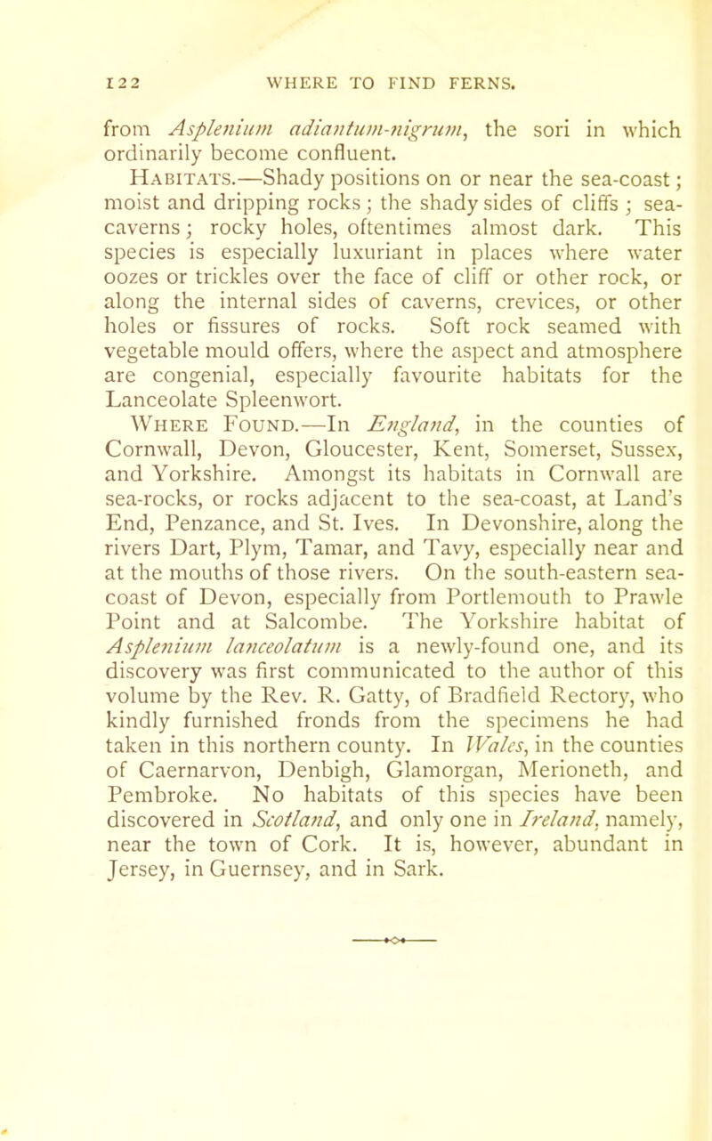 from Asplenium adiantuiii-nignim^ the sori in which ordinarily become confluent. Habitats.—Shady positions on or near the sea-coast; moist and dripping rocks ; the shady sides of cliffs ; sea- caverns ; rocky holes, oftentimes almost dark. This species is especially luxuriant in places where water oozes or trickles over the face of cliff or other rock, or along the internal sides of caverns, crevices, or other holes or fissures of rocks. Soft rock seamed with vegetable mould offers, where the aspect and atmosphere are congenial, especially favourite habitats for the Lanceolate Spleenwort. Where Found.—In Englatid, in the counties of Cornwall, Devon, Gloucester, Kent, Somerset, Sussex, and Yorkshire. Amongst its habitats in Cornwall are sea-rocks, or rocks adjacent to the sea-coast, at Land's End, Penzance, and St. Ives. In Devonshire, along the rivers Dart, Plym, Tamar, and Tavy, especially near and at the mouths of those rivers. On the south-eastern sea- coast of Devon, especially from Portlemouth to Prawle Point and at Salcombe. The Yorkshire habitat of Asplenium lanceolatiun is a newly-found one, and its discovery was first communicated to the author of this volume by the Rev. R. Catty, of Bradfield Rectory, who kindly furnished fronds from the specimens he had taken in this northern county. In JVa/es, in the counties of Caernarvon, Denbigh, Glamorgan, Merioneth, and Pembroke. No habitats of this species have been discovered in Scotland, and only one in Ireland, namely, near the town of Cork. It is, however, abundant in Jersey, in Guernsey, and in Sark.