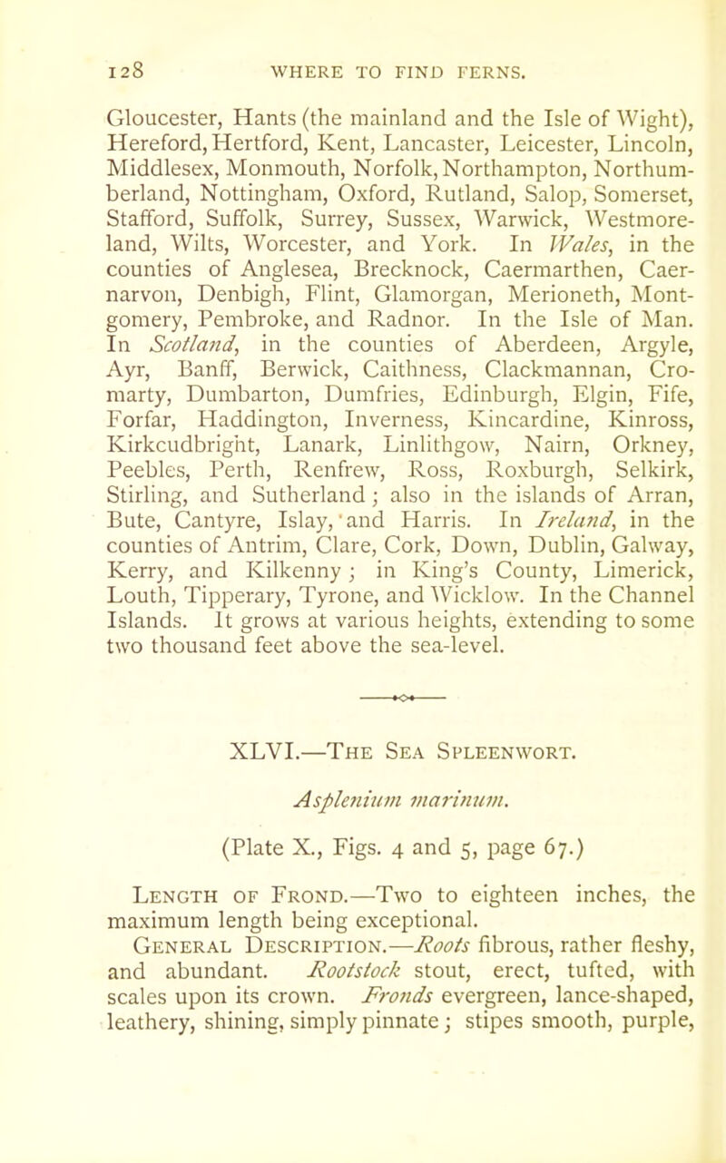 Gloucester, Hants (the mainland and the Isle of Wight), Hereford, Hertford, Kent, Lancaster, Leicester, Lincoln, Middlesex, Monmouth, Norfolk, Northampton, Northum- berland, Nottingham, Oxford, Rutland, Salop, Somerset, Stafford, Suffolk, Surrey, Sussex, Warwick, Westmore- land, Wilts, Worcester, and York. In Wales, in the counties of Anglesea, Brecknock, Caermarthen, Caer- narvon, Denbigh, Flint, Glamorgan, Merioneth, Mont- gomery, Pembroke, and Radnor. In the Isle of Man. In Scotland, in the counties of Aberdeen, Argyle, Ayr, Banff, Berwick, Caithness, Clackmannan, Cro- marty, Dumbarton, Dumfries, Edinburgh, Elgin, Fife, Forfar, Haddington, Inverness, Kincardine, Kinross, Kirkcudbright, Lanark, Linlithgow, Nairn, Orkney, Peebles, Perth, Renfrew, Ross, Roxburgh, Selkirk, Stirling, and Sutherland ; also in the islands of Arran, Bute, Cantyre, Islay, and Harris. In Ireland, in the counties of Antrim, Clare, Cork, Down, Dublin, Galway, Kerry, and Kilkenny; in King's County, Limerick, Louth, Tipperary, Tyrone, and Wicklow. In the Channel Islands. It grows at various heights, extending to some two thousand feet above the sea-level. XLVI.—The Sea Spleenwort. Asplefttum marinum. (Plate X., Figs. 4 and 5, page 67.) Length of Frond.—Two to eighteen inches, the maximum length being exceptional. General Description.—Roots fibrous, rather fleshy, and abundant. Rootstock stout, erect, tufted, with scales upon its crown. Fronds evergreen, lance-shaped, leathery, shining, simply pinnate; stipes smooth, purple,