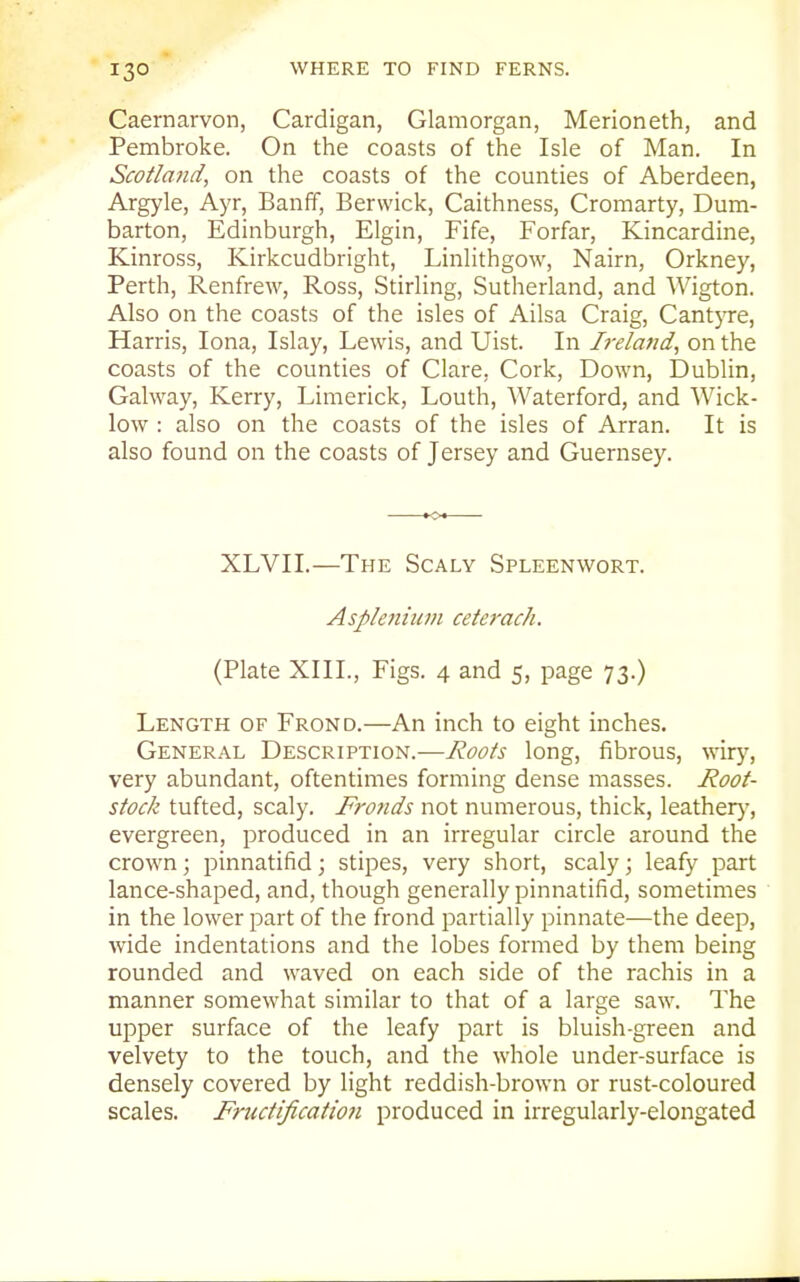 Caernarvon, Cardigan, Glamorgan, Merioneth, and Pembroke. On the coasts of the Isle of Man. In Scotland, on the coasts of the counties of Aberdeen, Argyle, Ayr, Banff, Berwick, Caithness, Cromarty, Dum- barton, Edinburgh, Elgin, Fife, Forfar, Kincardine, Kinross, Kirkcudbright, Linlithgow, Nairn, Orkney, Perth, Renfrew, Ross, Stirling, Sutherland, and Wigton. Also on the coasts of the isles of Ailsa Craig, Cantj're, Harris, lona, Islay, Lewis, and Uist. In Ireland, on the coasts of the counties of Clare, Cork, Down, Dublin, Galway, Kerry, Limerick, Louth, A¥aterford, and Wick- low : also on the coasts of the isles of Arran. It is also found on the coasts of Jersey and Guernsey. XLVII.—The Scaly Spleenwort. Asplenium ceterach. (Plate XIII., Figs. 4 and 5, page 73.) Length of Frond.—An inch to eight inches. General Description.—Roots long, fibrous, wirj'-, very abundant, oftentimes forming dense masses. Root- stock tufted, scaly. Fronds not numerous, thick, leather}', evergreen, produced in an irregular circle around the crown; pinnatifid; stipes, very short, scaly; leafy part lance-shaped, and, though generally pinnatifid, sometimes in the lower part of the frond partially pinnate—the deep, wide indentations and the lobes formed by them being rounded and waved on each side of the rachis in a manner somewhat similar to that of a large saw. The upper surface of the leafy part is bluish-green and velvety to the touch, and the whole under-surface is densely covered by light reddish-brown or rust-coloured scales. Fnictificatio7i produced in irregularly-elongated