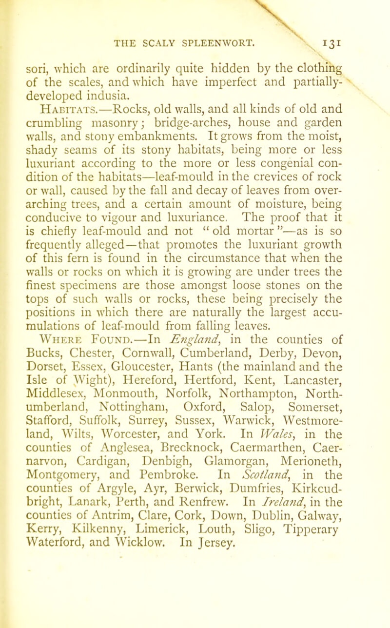 sori, which are ordinarily quite hidden by the clothing of the scales, and which have imperfect and partially- developed indusia. \ Habitats.—Rocks, old walls, and all kinds of old and crumbling masonry; bridge-arches, house and garden walls, and stony embankments. It grows from the moist, shady seams of its stony habitats, being more or less luxuriant according to the more or less congenial con- dition of the habitats—leaf-mould in the crevices of rock or wall, caused by the fall and decay of leaves from over- arching trees, and a certain amount of moisture, being conducive to vigour and luxuriance. The proof that it is chiefly leaf-mould and not  old mortar —as is so frequently alleged—that promotes the luxuriant growth of this fern is found in the circumstance that when the walls or rocks on which it is growing are under trees the finest specimens are those amongst loose stones on the tops of such walls or rocks, these being precisely the positions in which there are naturally the largest accu- mulations of leaf-mould from falling leaves. Where Found.—In England, in the counties of Bucks, Chester, Cornwall, Cumberland, Derby, Devon, Dorset, Essex, Gloucester, Hants (the mainland and the Isle of Wight), Hereford, Hertford, Kent, Lancaster, Middlesex, Monmouth, Norfolk, Northampton, North- umberland, Nottingham, Oxford, Salop, Somerset, Stafford, Suffolk, Surrey, Sussex, Warwick, Westmore- land, Wilts, Worcester, and York. In Wales, in the counties of Anglesea, Brecknock, Caermarthen, Caer- narvon, Cardigan, Denbigh, Glamorgan, Merioneth, Montgomery, and Pembroke. In Scotland, in the counties of Argyle, Ayr, Berwick, Dumfries, Kirkcud- bright, Lanark, Perth, and Renfrew. In Ireland, in the counties of Antrim, Clare, Cork, Down, Dublin, Galway, Kerry, Kilkenny, Limerick, Louth, Sligo, Tipperary Waterford, and Wicklow. In Jersey.