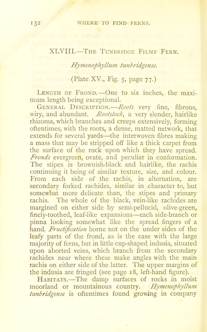 XLVIII.—The Tunbridge Filmy Fern. Hymenophylhiin tunb7-idgense. (Plate XV., Fig. 5, page 77.) Length of Frond.—One to six inches, the maxi- mum length being exceptional. General Description.—Roots very fine, fibrous, wiry, and abundant. Rootsiock, a very slender, hairlike rhizoma, which branches and creeps extensively, forming oftentimes, with the roots, a dense, matted network, that extends for several yards—the interwoven fibres making a mass that may be stripped off like a thick carpet from the surface of the rock upon which they have spread. Fronds evergreen, ovate, and peculiar in conformation. The stipes is brownish-black and hairlike, the rachis continuing it being of similar texture, size, and colour. From each side of the rachis, in alternation, are secondary forked rachides, similar in character to, but somewhat more delicate than, the stipes and primary rachis. The whole of the black, vein-like rachides are margined on either side by semi-pellucid, olive-green, finely-toothed, leaf-like expansions—each side-branch or pinna looking somewhat like the spread fingers of a hand. Fructification borne not on the under sides of the leafy parts of the frond, as is the case with the large majority of ferns, but in little cup-shaped indusia, situated upon aborted veins, which branch from tlie secondary rachides near where these make angles with the main rachis on either side of the latter. The upper margins of the indusia are fringed (see page 18, left-hand figure). Habitats.—The damp surfaces of rocks in moist moorland or mountainous country. Hyinenophyllum titnbridgense is oftentimes found growing in company