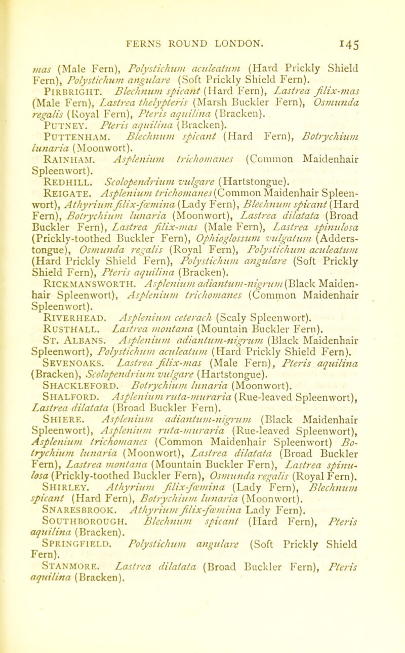 7iias (Male Fern), Polysticlntin aciileatnm (Hard Prickly Shield Fern), Polystkhum angiilare (Soft Prickly Shield Fern). PiRliRiGHT. Blec/inuin spicant (llai-il ¥ex-[\), Lastrea fdix-mas (Male Fern), Lastrea thelypteris (Marsh Buckler Fern), Osmtinda regalis (Royal Fern), Pteris aqiiilina (Bracken). Putney. Pteris aquilina (Bracken). PUTTENHAM. Blechnuvi spicant (Hard Fern), Botrychhtm lunaria (Moonwort). Rainham. Asplenium trklioinancs (Common Maidenhair Spleenwort). Redhill. Scolopendrhim vtilgare (Hartstongue). Reigate. Asplenium tric/io/nai/es{Common Maidenhair Spleen- wort), Athyritim filix-famiita (Lady Fern), Bleclniiim spicant\\\z.x^ Fern), Botrychiitm lunaria (Moonwort), Lastrea dilatata (Broad Buckler Fern), Lastrea filix-iiias (Male Fern), Lastrea spimilosa (Prickly-toothed Buckler Fern), Ophioglosstiin vtilgatiun (Adders- tongue), Osiitunda regalis (Royal Fern), PolysticJiiim aculeatitin (Hard Prickly .Shield Fern), Polystiehiti/i angvlare (Soft Prickly Shield P'ern), Pteris aquilina (Bracken). RiCKMANSWORTH. Aspleniu/n adiantuni-nigruin (Black Maiden- hair Spleenwort), Asplenium triclwnianes (Common Maidenhair Spleenwort). RiVERHEAD. Asplenium ceterach (Scaly Spleenwort). RusTHALL. Lastrea moniana (Mountain Buckler Fern). St. Albans. Asplenium adiantum-nigrum (Black Maidenhair Spleenwort), Polystichum aculeatum (Hard Prickly Shield Fern). Sevenoaks. Lastrea Jilix-mas (Male Fern), Pteris aquilina (Bracken), Scolopendrium vtilgare (Hartstongue). Shackleford. Botrychium lunaria (Moonwort). Shalford. Asplenium ruta-muraria (Rue-leaved Spleenwort), Lastrea dilatata (Broad Buckler Fern). Shiere. Asplenium adiantum-nigrum (Black Maidenhair Spleenwort), Asplenium ruta-muraria (Rue-leaved Spleenwort), Asplenium trichomaiws (Common Maidenhair Spleenwort) Bo- trychium lunaria (Moonwort), Lastrea dilatata (Broad Buckler Fern), Lastrea motitana (Mountain Buckler Fern), Lastrea spinu- /ff^a (Prickly-toothed Buckler Fern), Osinunda regalis (Royal Fern). Shirley. Atliyrium filix-fccmina (Lady Fern), Blechnuin spicant (Hard Fern), Botrychium lunaria (Moonwort). Snaresbrook. Athyrium filix-famina Lady Fern). SouTitiJOROUGH. Blechnum spicant (Hard Fern), Pteris aquilina (Bracken). Springfield. Polystichum angiilare (Soft Prickly Shield Fern). Stan MORE. Lastrea dilatata (Broad Buckler Fern), Pteris aquilina (Bracken).