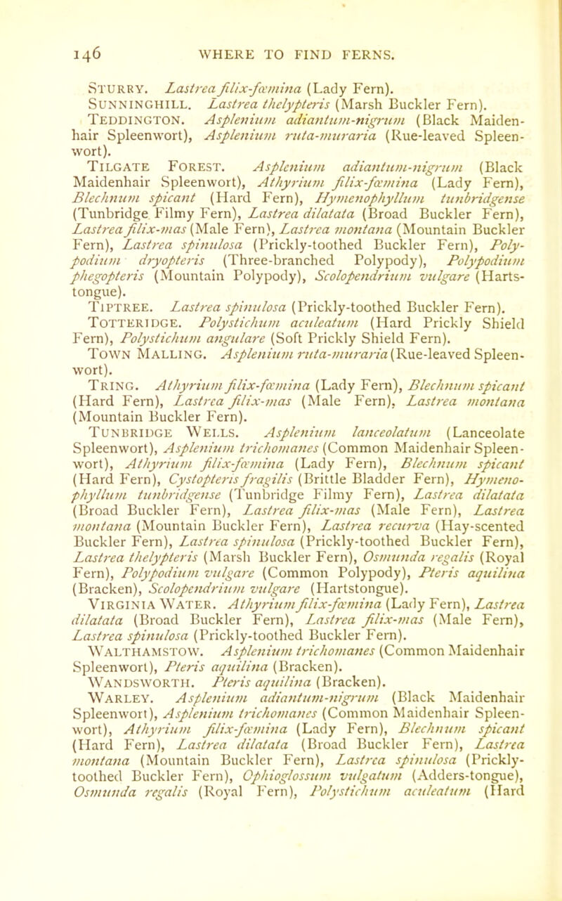 Sturry. Lastrea fiUx-famhia (Lady Fern). SUNNINGHILL. Lastrea thclypteris (Marsh Buckler Fern). Teddington. Asplejiitt/u adiantitin-nigrtiin (Black Maiden- hair Spleenwort), Aspleniiiin riita-imiraria (Rue-leaved Spleen- wort). TiLGATE Forest. Asplcnium adiantiim-nignim (Black Maidenhair Spleenwort), Athyrhim filix-fxmina (Lady Fern), Blechntim spicant (Hard Fern), Hynienophylliim timbridgense (Tunbridge Filmy Fern), Lastrea dilatata (Broad Buckler Fern), Lastrea filix-inas (Male Fern), Lastrea j/iontana (Mountain Buckler Fern), Lastrea spinttlosa (Prickly-toothed Buckler Fern), Poly- podium dryoptei-is (Three-branched Polypody), Polypodmiii phegopteris (Mountain Polypody), Scolopendrhun viilgare (Harts- tongue). Tiptree. Lastrea sp'mtilosa (Prickly-toothed Buckler Fern). Totteridge. Polystichmn actileatiim (Hard Prickly Shield Fern), Polystichmn aiigiilare (Soft Prickly Shield Fern). Town Malling. Asplenhim r!/ta-w2iraria{'R\ie-\e3.ved Spleen- wort). Tring. Atliyrium filix-fccmina (Lady Fern), Blechniiin spicant (Hard Fern), Lastrea filix-mas (Male Fern), Lastrea inontana (Mountain Buckler Fern). Tunbridge Wells. Aspleniuin lanceolatmn (Lanceolate Spleenwort), Aspleniuin tric/ion/anes {Common Maidenhair Spleen- wort), Athyrivni filix-fccniina (Lady Fern), Blechntim spicant (Hard Fern), Cystopteris fragilis (Brittle Bladder Fern), Hynieno- phylluin timbridgense (Tunbridge Filmy Fern), Lastrea dilatata (Broad Buckler Fern), Lastrea filix-mas (Male Fern), Lastrea Montana (Mountain Buckler Fern), Lastrea recurva (Hay-scented Buckler Fern), Lastrea spiniilosa (Prickly-toothed Buckler Fern), Lastrea thelypteris (Marsh Buckler Fern), Osiniinda regalis (Royal Fern), Polypodiian viilgare (Common Polypody), Heris aqtiiliua (Bracken), Scolopendriiiiii vulgare (Hartstongue). Virginia Water. Athyriumfilix-fccmina (Lady Fern), Lastrea dilatata (Broad Buckler Fern), Lastrea filix-mas (Male Fern), Lastrea spinulosa (Prickly-toothed Buckler Fern). Walthamstow. Asplenium trichomanes (Common Maidenhair Spleenwort), Pteris aqiiilina (Bracken). W^ANDSWORTH. I^leris aquilina (Bracken). Warley. Asplenium adiantum-nigriun (Black Maidenhair Spleenwort), Asplenium trichomanes (Common Maidenhair Spleen- wort), Athyrium filix-fivmina (Lady Fern), Blechnum spicant (Hard Fern), Lastrea dilatata (Broad Buckler Fern), Lastrea montana (Mountain Buckler Fern), Lastrea spinulosa (Prickly- toothed Buckler Fern), Ophioglossum vulgatum (Adders-tongue), Osmunda regalis (Royal F'ern), Polystichum aatleatutn (Hard