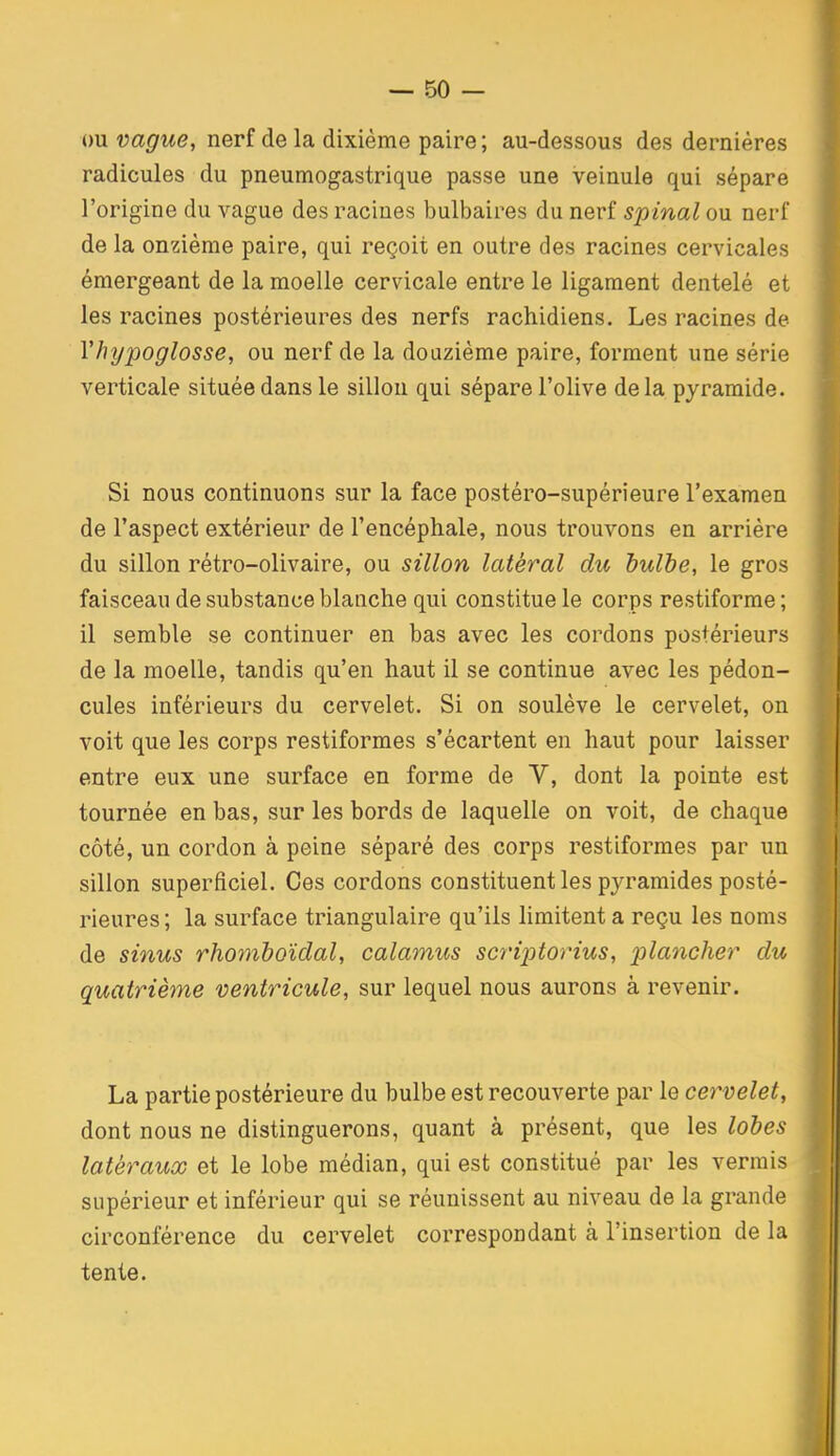 ou vague, nerf de la dixième paire ; au-dessous des dernières radicules du pneumogastrique passe une veinule qui sépare l'origine du vague des racines bulbaires du nerf spinal ou nerf de la onzième paire, qui reçoit en outre des racines cervicales émergeant de la moelle cervicale entre le ligament dentelé et les racines postérieures des nerfs rachidiens. Les racines de Vhypoglosse, ou nerf de la douzième paire, forment une série verticale située dans le sillon qui sépare l'olive delà pyramide. Si nous continuons sur la face postéro-supérieure l'examen de l'aspect extérieur de l'encéphale, nous trouvons en arrière du sillon rétro-olivaire, ou sillon latéral du bulbe, le gros faisceau de substance blanche qui constitue le corps restiforme ; il semble se continuer en bas avec les cordons postérieurs de la moelle, tandis qu'en haut il se continue avec les pédon- cules inférieurs du cervelet. Si on soulève le cervelet, on voit que les corps restiformes s'écartent en haut pour laisser entre eux une surface en forme de Y, dont la pointe est tournée en bas, sur les bords de laquelle on voit, de chaque côté, un cordon à peine séparé des corps restiformes par un sillon superficiel. Ces cordons constituent les pyramides posté- rieures; la surface triangulaire qu'ils limitent a reçu les noms de sinus rhomboïdal, calamus sci'iptorius, ^^Icincher du quatrième ventricule, sur lequel nous aurons à revenir. La partie postérieure du bulbe est recouverte par le cervelet, dont nous ne distinguerons, quant à présent, que les lobes latéraux et le lobe médian, qui est constitué par les vermis supérieur et inférieur qui se réunissent au niveau de la grande circonférence du cervelet correspondant à l'insertion de la tente.