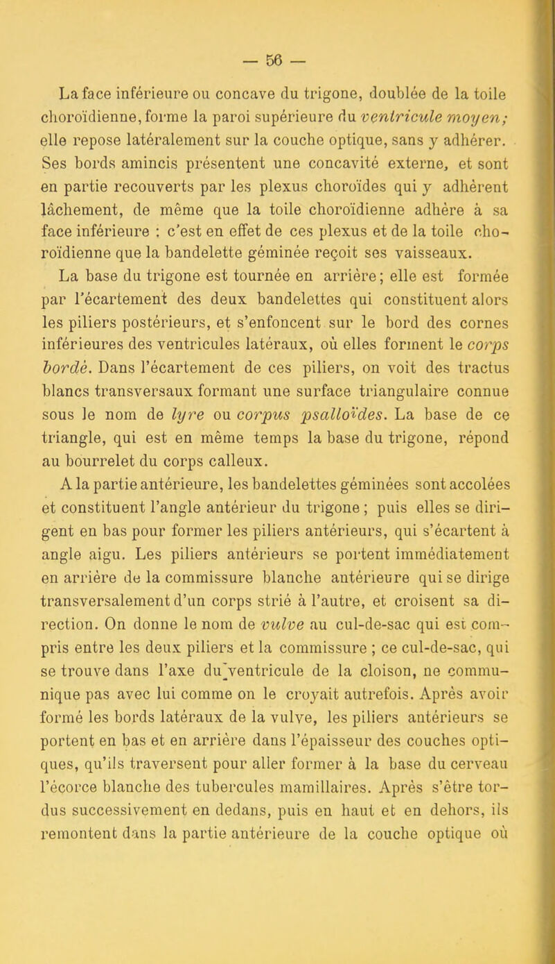 La face inférieure ou concave du trigone, doublée de la toile choroïdienne, forme la paroi supérieure du ventricule moyen; elle repose latéralement sur la couche optique, sans y adhérer. Ses bords amincis présentent une concavité externe, et sont en partie recouverts par les plexus choroïdes qui y adhérent lâchement, de même que la toile choroïdienne adhère à sa face inférieure ; c'est en effet de ces plexus et de la toile cho- roïdienne que la bandelette géminée reçoit ses vaisseaux. La base du trigone est tournée en arrière ; elle est formée par l'écartement des deux bandelettes qui constituent alors les piliers postérieurs, et s'enfoncent sur le bord des cornes inférieures des ventricules latéraux, où elles forment le corps horde. Dans l'écartement de ces piliers, on voit des tractus blancs transversaux formant une surface triangulaire connue sous le nom de lyre ou corpus psalloi^des. La base de ce triangle, qui est en même temps la base du trigone, répond au bourrelet du corps calleux. A la partie antérieure, les bandelettes géminées sont accolées et constituent l'angle antérieur du trigone ; puis elles se diri- gent en bas pour former les piliers antérieurs, qui s'écartent à angle aigu. Les piliers antérieurs se portent immédiatement en arrière de la commissure blanche antérieure qui se dirige transversalement d'un corps strié à l'autre, et croisent sa di- rection. On donne le nom de vulve au cul-de-sac qui est com- pris entre les deux piliers et la commissure ; ce cul-de-sac, qui se trouve dans l'axe du>entricule de la cloison, ne commu- nique pas avec lui comme on le croyait autrefois. Après avoir formé les bords latéraux de la vulve, les piliers antérieurs se portent en bas et en arrière dans l'épaisseur des couches opti- ques, qu'ils traversent pour aller former à la base du cerveau l'écorce blanche des tubercules mamillaires. Après s'être tor- dus successivement en dedans, puis en haut et en dehors, ils remontent dans la partie antérieure de la couche optique où