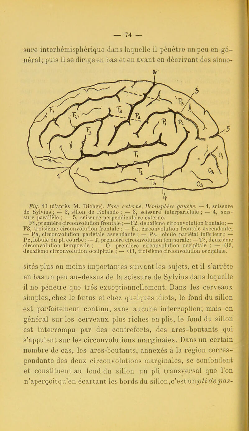 sure interhémispliérique dans laquelle il pénétre un peu en gé- néral; puis il se dirige en bas et en avant en décrivant des sinuo- 9t Fig. 13 (d'après M. Richer). Face externe. Hémisj>hère gauche. — 1, scissm-e de Sylvius ; — 2, sillon de Rolando ; — 3, scissure interpariétalo ; — 4, scis- sure parallèle ; — 5, soissure perpendiculaire externe. PI,première circonvolution frontale; —F2, deuxième circonvolution frontale ; — F3, troisième circonvolution frontale ; — Fa, circonvolution frontale ascendante; — Pa, circonvolution pariétale ascendante ; — Ps, lobule pariétal inférieur; — Pc,lobule du pli courbe : — ï, première circonvolution temporale; — T2, deuxième circonvolution temporale ; — 0, première circonvolution occipitale : — 02, deuxième circonvolution occipitale ; — 03, troisième circonvolution occipitale. sités plus OU moins importantes suivant les sujets, et il s'arrête en bas un peu au-dessus de la scissure de Sjlvius dans laquelle il ne pénètre que très exceptionnellement. Dans les cerveaux simples, chez le fœtus et chez quelques idiots, le fond du sillon est parfaitement continu, sans aucune interruption; mais en général sur les cerveaux plus riches en plis, le fond du sillon est interrompu par des contreforts, des arcs-boutants qui s'appuient sur les circonvolutions marginales. Dans un certain nombre de cas, les arcs-boutants, annexés à la région corres- pondante des deux circonvolutions marginales, se confondent et constituent au fond du sillon un pli transversal que l'on n'aperçoitqu'en écartant les bords du sillon,c'est un^j^erfejîa^-