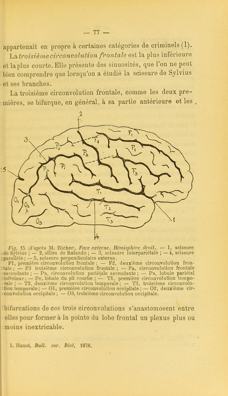 appartenait en propre à certaines catégories de criminels (1). h2Ltroisièmecirconvolution frontale est la plus inférieure et la plus courte. Elle présente des sinuosités, que l'on ne peut bien comprendre que lorsqu'on a étudié la scissure de Sylvius et ses branches. La troisième circonvolution frontale, comme les deux pre- :mières, se bifurque, en général, à sa partie antérieure et les , Fig. 15 (d'après M. Richer). Face externe. Hémisphère droit. — 1, scissure de Sylvius ; — 2, sillon de Rolando ; — 3, scissure interpariétale ; —4, scissure iparallèle ; — 5, scissure perpendiculaire externe. Fi, première circonvolution frontale ; — P2, deuxième circonvolution fron- :lale; — P3 troisième circonvolution frontale; —Fa, circonvolution frontale as^.endante ; — Pa, circonvolution pariétale ascendante; — Ps, lobule pariétal infprieur; — Pc, lobule du pli courbe ; — Tl, première circonvolution tempo- rale ; — T2, deuxième circonvolution temporale ; — T3, troisième circonvolu- :tion temporale ; — 0), première circonvolution occipitale ; — 02, deuxième cir- I convolution occipitale ; — 03, troisième circonvolution occipitale. bifurcations de ces trois circonvolutions s'anastomosent entre elles pour formera la pointe du lobe frontal un plexus plus ou moins inextricable. 1. Hanot, Bull. soc. Biol, 1878.