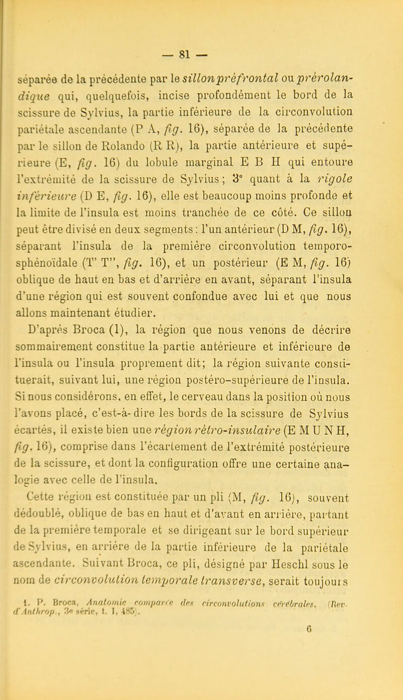 séparée de la précédente par \e sillon pré frontal on prérolan- dique qui, quelquefois, incise profondément le bord de la scissure de Sylvius, la partie inférieure de la circonvolution pariétale ascendante (P A, fig. 16), séparée de la précédente par le sillon de Rolande (R R), la partie antérieure et supé- rieure (E, fig. 16) du lobule marginal E B H qui entoure l'extrémité de la scissure de Sylvius ; 3° quant à la rigole inférieure (D E, fig. 16), elle est beaucoup moins profonde et la limite de l'insula est moins tranchée de ce côté. Ce sillon peut être divisé en deux segments : l'un antérieur (D M, fig. 16), séparant l'insula de la première circonvolution temporo- sphénoïdale (ï' T, fig. 16), et un postérieur (E M, fig. 16) oblique de haut en bas et d'arrière en avant, séparant l'insula d'une région qui est souvent confondue avec lui et que nous allons maintenant étudier. D'après Broca (1), la région que nous venons de décrire sommairement constitue la partie antérieure et inférieure de l'insula ou l'insula proprement dit; la région suivante consti- tuerait, suivant lui, une région postéro-supérieure de l'insula. Si nous considérons, en effet, le cerveau dans la position où nous l'avons placé, c'est-à-dire les bords de la scissure de Sylvius écartés, il existe bien une région rétro-insulaire (E M U N H, fig. 16), comprise dans l'écarleraent de l'extrémité postérieure de la scissure, et dont la configuration offre une certaine ana- logie avec celle de l'insula. Cette région est constituée par un pli (M, fig. 16), souvent dédoublé, oblique de bas en haut et d'avant en arrière, partant de la première temporale et se dirigeant sur le bord supérieur de Sylvius, en arriére de la partie inférieure de la pariétale ascendante. Suivant Broca, ce pli, désigné par Hesclil sous le nom de circonvolution temporale transverse, serait toujours 1. p. Broca, Analomie comparée des circonvolution.i ct'ic'bralrs. !I]i-v- d'Anthrop., 3e série, t. I, 485}. 6