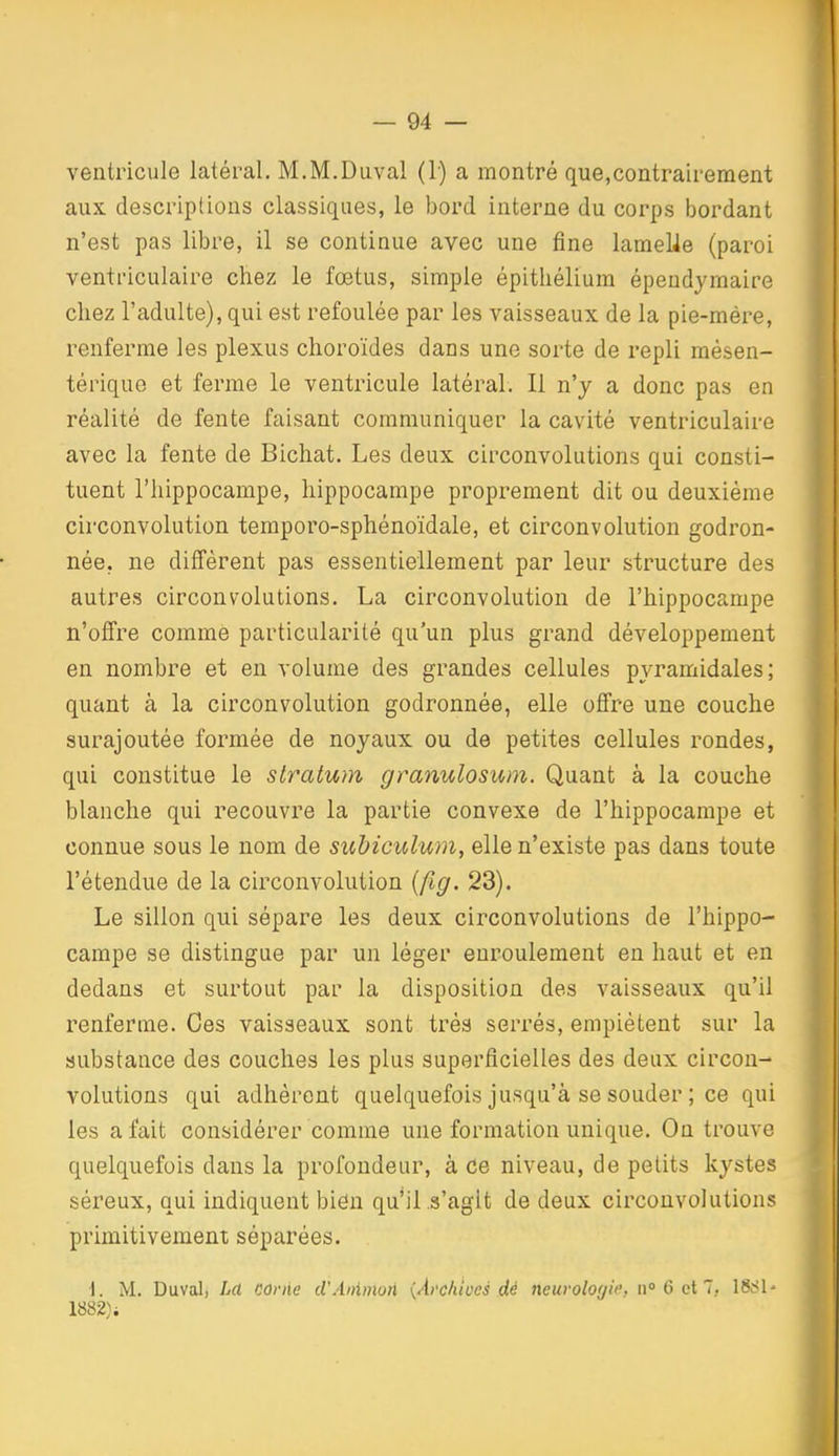 ventricule latéral. M.M.Duval (1) a montré que,contrairement aux descriptions classiques, le bord interne du corps bordant n'est pas libre, il se continue avec une fine lameUe (paroi ventriculaire chez le fœtus, simple épithéliura épeudymaire chez l'adulte), qui est refoulée par les vaisseaux de la pie-mére, renferme les plexus choroïdes dans une sorte de repli mésen- tériquo et ferme le ventricule latéral. Il n'y a donc pas en réalité de fente faisant communiquer la cavité ventriculaire avec la fente de Bichat. Les deux circonvolutions qui consti- tuent l'hippocampe, hippocampe proprement dit ou deuxième circonvolution temporo-sphénoïdale, et circonvolution godron- née. ne diffèrent pas essentiellement par leur structure des autres circonvolutions. La circonvolution de l'hippocampe n'offre comme particularité qu'un plus grand développement en nombre et en volume des grandes cellules pyramidales; quant à la circonvolution godronnée, elle offre une couche surajoutée formée de noyaux ou de petites cellules rondes, qui constitue le slratum granulosum. Quant à la couche blanche qui recouvre la partie convexe de l'hippocampe et connue sous le nom de suMculum, elle n'existe pas dans toute l'étendue de la circonvolution [fig. 23). Le sillon qui sépare les deux circonvolutions de l'hippo- campe se distingue par un léger enroulement en haut et en dedans et surtout par la disposition des vaisseaux qu'il renferme. Ces vaisseaux sont très serrés, empiètent sur la substance des couches les plus superficielles des deux circon- volutions qui adhèrent quelquefois jusqu'à se souder ; ce qui les a fait considérer comme une formation unique. On trouve quelquefois dans la profondeur, à Ce niveau, de petits kystes séreux, qui indiquent bien qu'il .s'agit de deux circonvolutions primitivement séparées. \. M. Duval, La corne d'Aitimotl {Archives dé neuroloyif, ii» (5 et 7, 1882) i