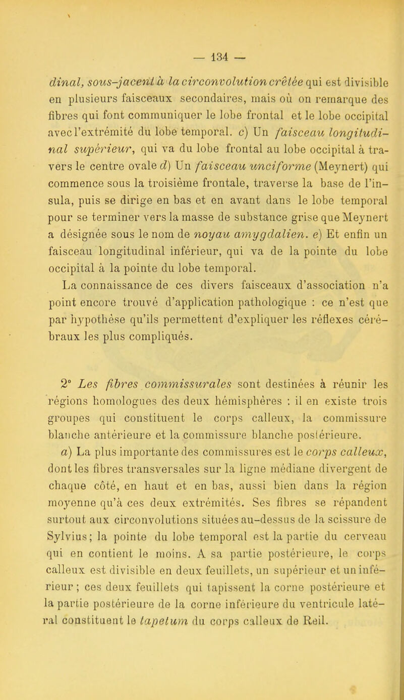 dinal, sous-jacenl à la circonvolution crêtée qui est divisible en plusieurs faisceaux secondaires, mais où on remarque des fibres qui font communiquer le lobe frontal et le lobe occipital avec l'extrémité du lobe temporal, c) Un faisceau longitudi- nal supérieur, qui va du lobe frontal au lobe occipital à tra- vers le centre ovale d) Un faisceau unciforme (Meynert) qui commence sous la troisième frontale, traverse la base de l'in- sula, puis se dirige en bas et en avant dans le lobe temporal pour se terminer vers la masse de substance grise que Meynert a désignée sous le nom de noyau amygdalien. e) Et enfin un faisceau longitudinal inférieur, qui va de la pointe du lobe occipital à la pointe du lobe temporal. La connaissance de ces divers faisceaux d'association n'a point encore trouvé d'application pathologique : ce n'est que par hypothèse qu'ils permettent d'expliquer les réflexes céré- braux les plus compliqués. 2° Les fibres cojnmissurales sont destinées à réunir les régions homologues des deux hémisphères : il en existe trois groupes qui constituent le corps calleux, la commissure blanche antérieure et la commissure blanche postérieure. a) La plus importante des commissures est le corps calleux, dont les fibres transversales sur la ligne médiane divergent de chaque côté, en haut et en bas, aussi bien dans la région moyenne qu'à ces deux extrémités. Ses fibres se répandent surtout aux circonvolutions situées au-dessus de la scissure de Sylvius; la pointe du lobe temporal est la partie du cerveau qui en contient le moins. A sa partie postérieure, le corps calleux est divisible en deux feuillets, un supérieur et un infé- rieur ; ces deux feuillets qui tapissent la corne postérieure et la partie postérieure de la corne inférieure du ventricule laté- l'al constituent le tapelum du corps calleux de Reil.