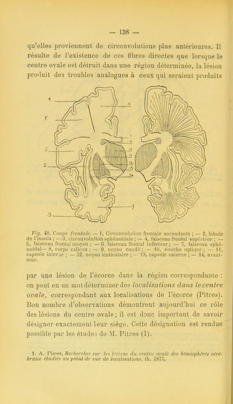 qu'elles proviennent de circonvolutions plus antérieures. Il résulte de l'existence de ces fibres directes que lorsque le centre ovale est détruit dans une région déterminée, la lésion produit des troubles analogues à ceux qui seraient produits Fig. 48. Coupe frontale. — 1, Circonvolulion frontale ascendante ; — 2, lobule de l'insula ; — 3, circonvolution sphénoïdale ;— 4, faisceau frontal supt'rieiir ; — 5, faisceau frontal moyen ; —6. faisceau frontal inférieur; — 7, faisceau sphé- noïdal—8, corps calleux;— 9, noyau eau dé ; — 10, couche opliijue ; — il, capsule inter.ie ; — 12, noyau lenticulaire ; — 13, capsule externe ; — 14, avant- mur. par une lésion de l'écorce dans la région correspondante : on peut en un mot déterminer des localisations dans le centre ovale, correspondant aux localisations de l'écorce (Pitres), Bon nombre d'observations démontrent aujourd'hui ce rôle des lésions du centre ovale ; il est donc important de savoir désigner exactement leur siège. Cette désignation est rendue possible par les études de M. Pitres (1). 1. A. Pitres, Recherches sur les lestons du centra ovale des hémisphères ce're- braux étudiés au point de vue de localisations, th. 1877.