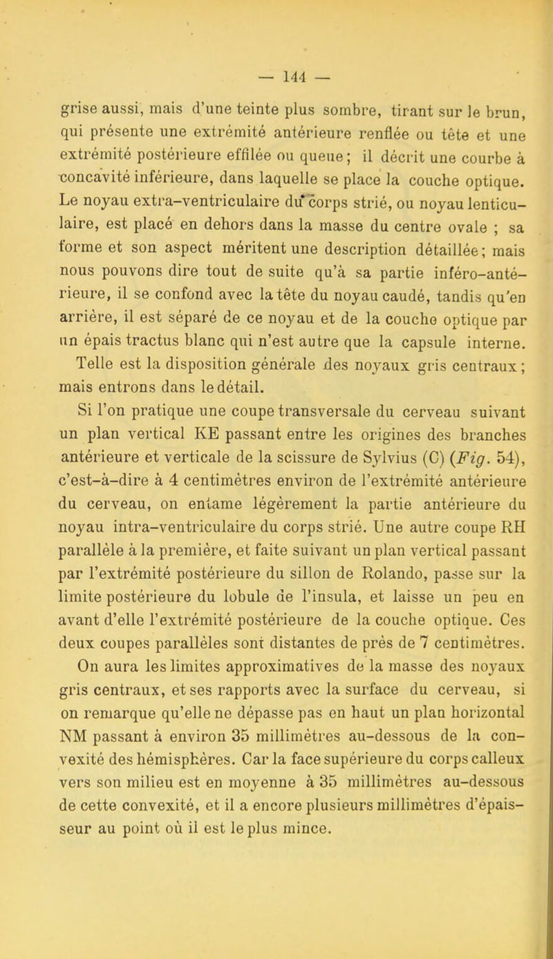 grise aussi, mais d'une teinte plus sombre, tirant sur le brun, qui présente une extrémité antérieure renflée ou tête et une extrémité postérieure effilée ou queue; il décrit une courbe à ■concavité inférieure, dans laquelle se place la couche optique. Le noyau extra-ventriculaire du corps strié, ou noyau lenticu- laire, est placé en dehors dans la masse du centre ovale ; sa forme et son aspect méritent une description détaillée; mais nous pouvons dire tout de suite qu'à sa partie inféro-anté- rieure, il se confond avec la tête du noyau caudé, tandis qu'en arrière, il est séparé de ce noyau et de la couche optique par un épais tractus blanc qui n'est autre que la capsule interne. Telle est la disposition générale des noyaux gris centraux ; mais entrons dans le détail. Si l'on pratique une coupe transversale du cerveau suivant un plan vertical KE passant entre les origines des branches antérieure et verticale de la scissure de Sylvius (C) {Fig. 54), c'est-à-dire à 4 centimètres environ de l'extrémité antérieure du cerveau, on entame légèrement la partie antérieure du noyau intra-ventriculaire du corps strié. Une autre coupe RH parallèle à la première, et faite suivant un plan vertical passant par l'extrémité postérieure du sillon de Rolando, passe sur la limite postérieure du lobule de l'insula, et laisse un peu en avant d'elle l'extrémité postérieure de la couche optique. Ces deux coupes parallèles sont distantes de près de 7 centimètres. On aura les limites approximatives de la masse des noyaux gris centraux, et ses rapports avec la surface du cerveau, si on remarque qu'elle ne dépasse pas en haut un plan horizontal NM passant à environ 35 millimètres au-dessous de la con- vexité des hémisphères. Car la face supérieure du corps calleux vers son milieu est en moyenne à 35 millimètres au-dessous de cette convexité, et il a encore plusieurs millimètres d'épais- seur au point où il est le plus mince.