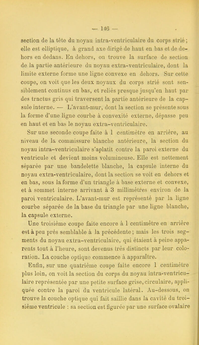 section de la tête du noyau intra-ventriculaire du corps strié ; elle est elliptique, à grand axe dirigé de haut en bas et de de- hors en dedans. En dehors, on trouve la surface de section de la partie antérieure du noyau extra-ventriculaire, dont la limite externe forme une ligne convexe en dehors. Sur cette coupe, on voit que les deux noyaux du corps strié sont sen- siblement continus en bas, et reliés presque jusqu'en haut par des tractus gris qui traversent la partie antérieure de la cap- sule interne. — L'avant-mur, dont la section se présente sous la foi^me d'une ligne courbe à convexité externe, dépasse peu en haut et en bas le noyau extra-ventriculaire. Sur une seconde coupe faite à 1 centimètre en arrière, au niveau de la commissure blanche antérieure, la section du noyau intra-ventriculaire s'aplatit contre la paroi externe du ventricule et devient moins volumineuse. Elle est nettement séparée par une bandelette blanche, la capsule interne du noyau extra-ventriculaire, dont la section se voit en dehors et en bas, sous la forme d'un triangle à base externe et convexe, et à sommet interne arrivant à 3 millimètres environ de la paroi ventriculaire. L'avant-raur est représenté par la ligne courbe séparée de la base du triangle par une ligne blanche, la capsule externe. Une troisième coupe faite encore à I centimètre en arrière est à peu près semblable à la précédente; mais les trois seg- ments du noyau extra-ventriculaire, qui étaient à peine appa- rents tout à l'heure, sont devenus très distincts par leur colo- ration. La couche optique commence à apparaître. Enfin, sur une quatrième coupe faite encore 1 centimètre plus loin, on voit la section du corps du noyau intra-ventricu- laire représentée par une petite surface grisejCirculairej appli- quée contre la paroi du ventricule latéral. Au-dessous, on trouve la couche optique qui fait saillie dans la cavité du troi- sième ventricule : sa section est figurée par une surface ovalaire