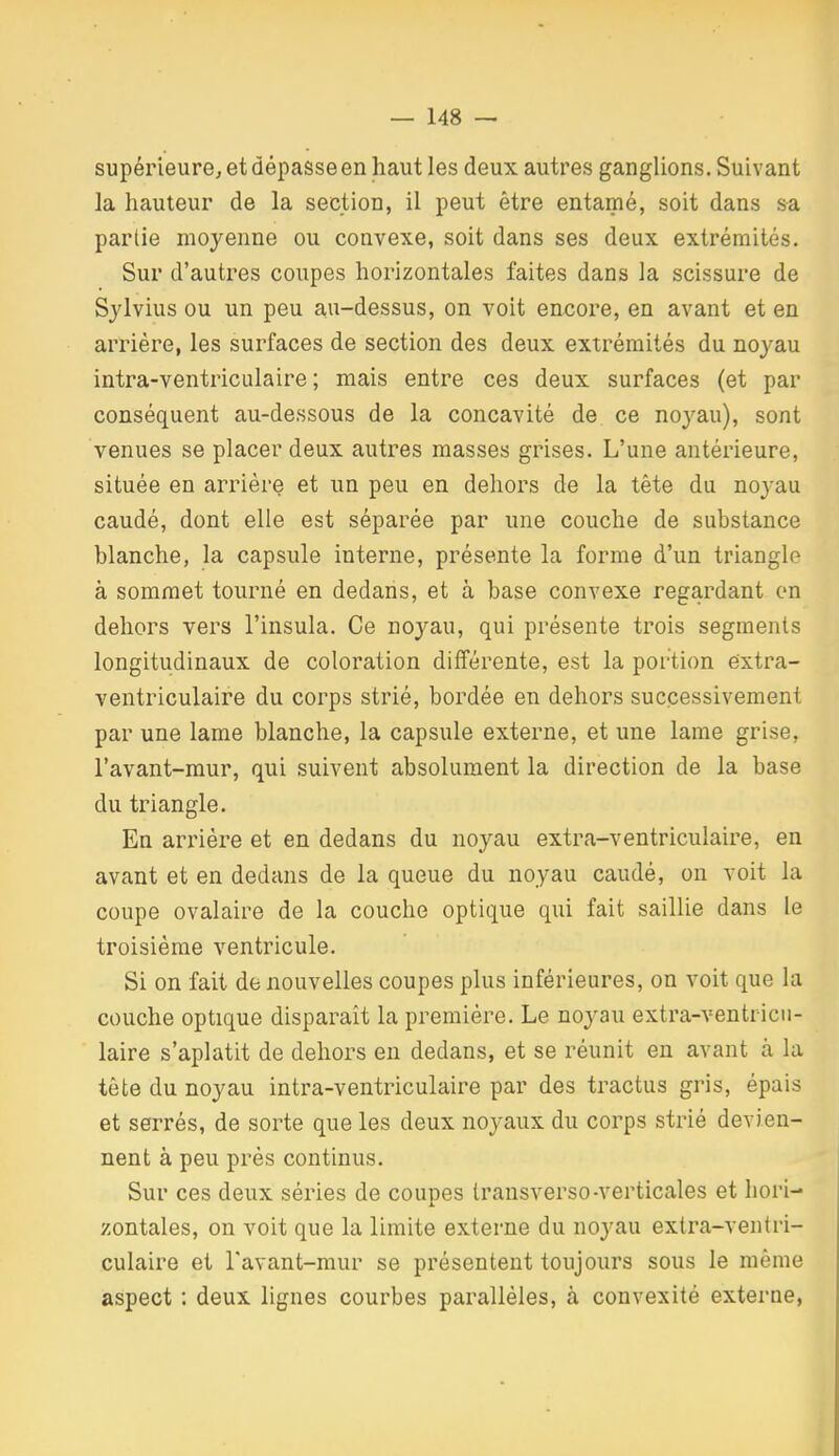 supérieure, et dépasse en haut les deux autres ganglions. Suivant la hauteur de la section, il peut être entamé, soit dans sa partie moyenne ou convexe, soit dans ses deux extrémités. Sur d'autres coupes horizontales faites dans la scissure de Sjlvius ou un peu au-dessus, on voit encore, en avant et en arriére, les surfaces de section des deux extrémités du noyau intra-ventriculaire ; mais entre ces deux surfaces (et par conséquent au-dessous de la concavité de ce noyau), sont venues se placer deux autres masses grises. L'une antérieure, située en arrière et un peu en dehors de la tête du noj-au caudé, dont elle est séparée par une couche de substance blanche, la capsule interne, présente la forme d'un triangle à sommet tourné en dedans, et à base convexe regardant on dehors vers l'insula. Ce noyau, qui présente trois segments longitudinaux de coloration différente, est la portion éxtra- ventriculaire du corps strié, bordée en dehors successivement par une lame blanche, la capsule externe, et une lame grise, l'avant-mur, qui suivent absolument la direction de la base du triangle. En arrière et en dedans du noyau extra-ventriculaire, en avant et en dedans de la queue du noyau caudé, on voit la coupe ovalaire de la couche optique qui fait saillie dans le troisième ventricule. Si on fait de nouvelles coupes plus inférieures, on voit que la couche optique disparaît la première. Le noyau extra-ventricu- laire s'aplatit de dehors en dedans, et se réunit en avant à la tête du noyau intra-ventriculaire par des tractus gris, épais et serrés, de sorte que les deux noj^aux du corps strié devien- nent à peu prés continus. Sur ces deux séries de coupes Iransverso-verticales et hori- zontales, on voit que la limite externe du noyau extra-ventri- culaire et Tavant-mur se présentent toujours sous le même aspect : deux lignes courbes parallèles, à convexité externe.