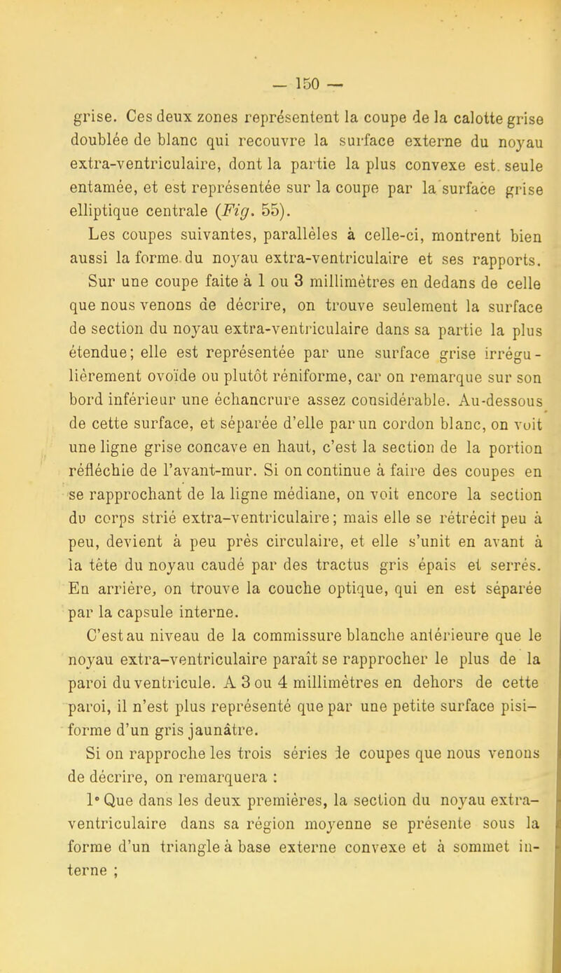 grise. Ces deux zones représentent la coupe de la calotte grise doublée de blanc qui recouvre la surface externe du noyau extra-ventriculaire, dont la partie la plus convexe est. seule entamée, et est représentée sur la coupe par la surface grise elliptique centrale {Fig. 55). Les coupes suivantes, parallèles à celle-ci, montrent bien aussi la forme, du noyau extra-ventriculaire et ses rapports. Sur une coupe faite à 1 ou 3 millimètres en dedans de celle que nous venons de décrire, on trouve seulement la surface de section du noyau extra-ventriculaire dans sa partie la plus étendue; elle est représentée par une surface grise irrégu- lièrement ovoïde ou plutôt réniforme, car on remarque sur son bord inférieur une échancrure assez considérable. Au-dessous de cette surface, et séparée d'elle par un cordon blanc, on voit une ligne grise concave en haut, c'est la section de la portion réfléchie de l'avant-mur. Si on continue à faire des coupes en se rapprochant de la ligne médiane, on voit encore la section du corps strié extra-ventriculaire; mais elle se rétrécit peu à peu, devient à peu près circulaire, et elle s'unit en avant à la téte du noyau caudé par des tractus gris épais et serrés. En arriére, on trouve la couche optique, qui en est séparée par la capsule interne. C'est au niveau de la commissure blanche antérieure que le noyau extra-ventriculaire paraît se rapprocher le plus de la paroi du ventricule. A Sou 4 millimètres en dehors de cette paroi, il n'est plus représenté que par une petite surface pisi- forme d'un gris jaunâtre. Si on rapproche les trois séries ie coupes que nous venons de décrire, on remarquera : 1 Que dans les deux premières, la section du noyau extra- ventriculaire dans sa région moj'enne se présente sous la forme d'un triangle à base externe convexe et à sommet in- terne ;