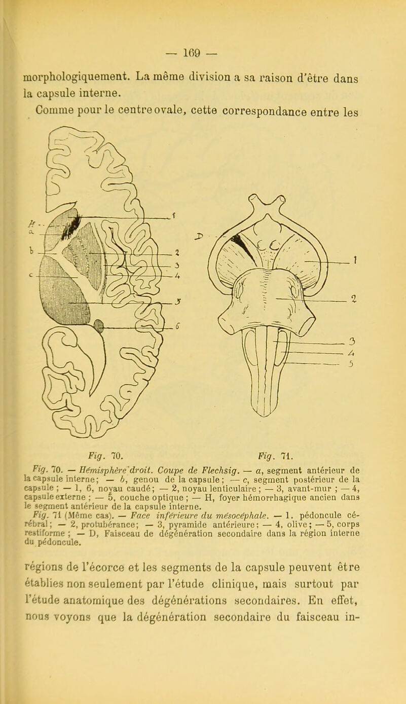 morphologiquement. La même division a sa raison d'être dans la capsule interne. Comme pour le centre ovale, cette correspondance entre les Fig. 70. Fig. 71. Fig. 70. — Hémisphère'droit. Coupe de Flechsig. — a, segment antérieur de la capsule interne; — 6, genou de la capsule; —c, segment postérieur de la capsule ; — 1, 6, noyau caudé; — 2, noyau lenticulaire ; — 3, avant-mur ; — 4, capsule externe : — 5, couche optique ; — H, foyer hémorrhagique ancien dans le segment antérieup de la capsule interne. Fig. 71 (.Même cas). — Face inférieure du me'socéphale. — 1. pédoncule cé- rébral; — 2, protubérance; — 3, pyramide antérieure; — 4, olive; —5, corps restiforme ; — D, Faisceau de dégenération secondaire dans la région interne du pédoncule. régions de l'écorce et les segments de la capsule peuvent être établies non seulement par l'étude clinique, mais surtout par l'étude anatomique des dégénérations secondaires. En effet, nous voyons que la dégénération secondaire du faisceau in-