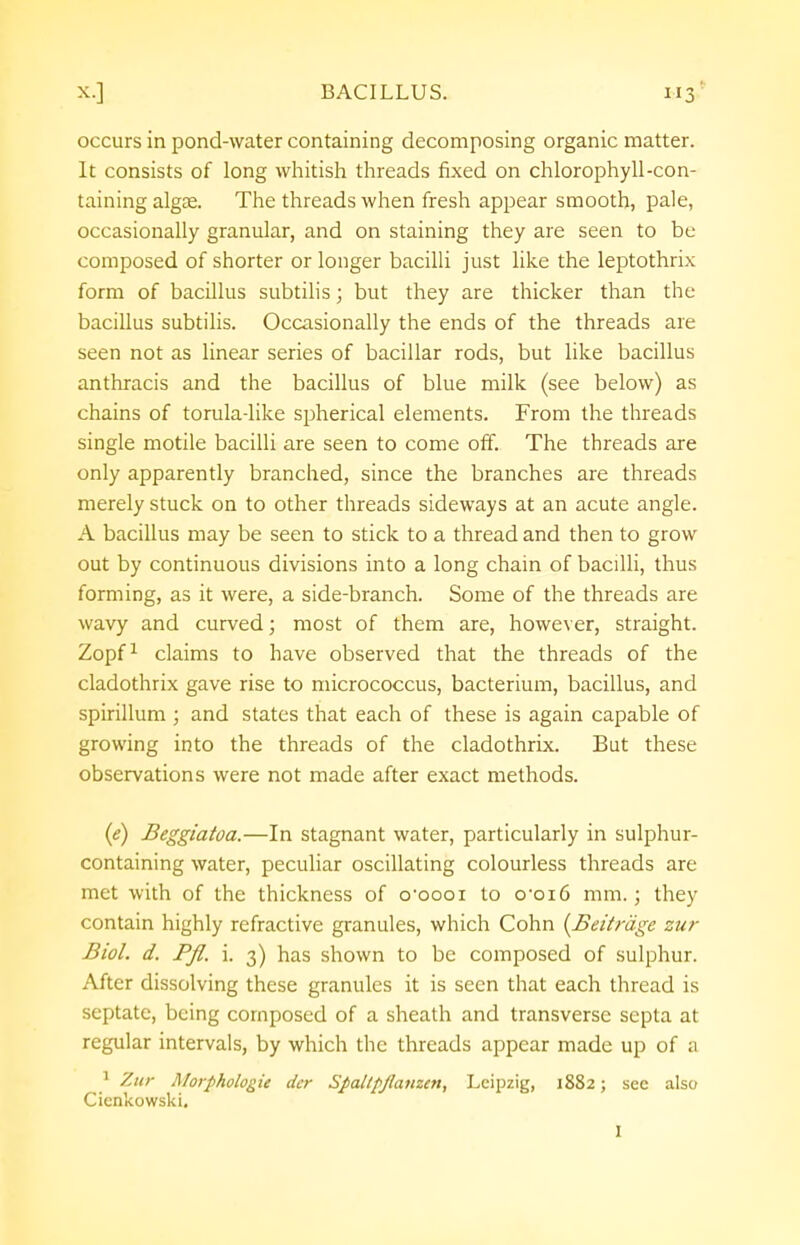 occurs in pond-water containing decomposing organic matter. It consists of long whitish threads fixed on chlorophyll-con- taining algas. The threads when fresh appear smooth, pale, occasionally granular, and on staining they are seen to be composed of shorter or longer bacilli just like the leptothrix form of bacillus subtilis; but they are thicker than the bacillus subtilis. Occasionally the ends of the threads are seen not as linear series of bacillar rods, but like bacillus anthracis and the bacillus of blue milk (see below) as chains of torula-like spherical elements. From the threads single motile bacilli are seen to come off. The threads are only apparently branched, since the branches are threads merely stuck on to other threads sideways at an acute angle. A bacillus may be seen to stick to a thread and then to grow out by continuous divisions into a long chain of bacilli, thus forming, as it were, a side-branch. Some of the threads are wavy and curved; most of them are, however, straight. Zopf1 claims to have observed that the threads of the cladothrix gave rise to micrococcus, bacterium, bacillus, and spirillum ; and states that each of these is again capable of growing into the threads of the cladothrix. But these observations were not made after exact methods. (e) Beggiatoa.—In stagnant water, particularly in sulphur- containing water, peculiar oscillating colourless threads are met with of the thickness of 0*0001 to o-oi6 mm.; they contain highly refractive granules, which Cohn (Beitrage zur Biol. d. Pfl. i. 3) has shown to be composed of sulphur. After dissolving these granules it is seen that each thread is septate, being composed of a sheath and transverse septa at regular intervals, by which the threads appear made up of a 1 Zur A/orphologie der Spaltpjlanzen, Leipzig, 1882; see also Cicnkowski. I