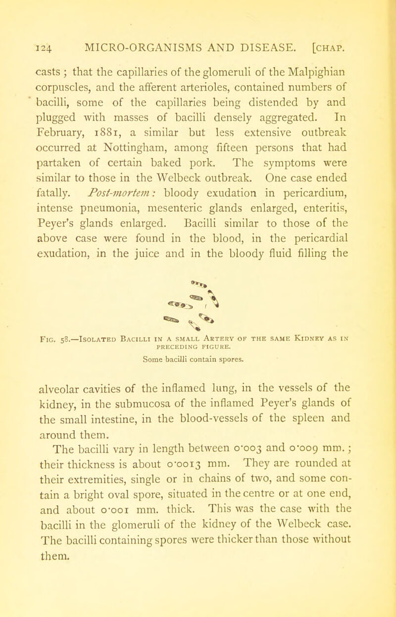 casts ; that the capillaries of the glomeruli of the Malpighian corpuscles, and the afferent arterioles, contained numbers of bacilli, some of the capillaries being distended by and plugged with masses of bacilli densely aggregated. In February, 1881, a similar but less extensive outbreak occurred at Nottingham, among fifteen persons that had partaken of certain baked pork. The symptoms were similar to those in the Welbeck outbreak. One case ended fatally. Post-mortem: bloody exudation in pericardium, intense pneumonia, mesenteric glands enlarged, enteritis, Peyer's glands enlarged. Bacilli similar to those of the above case were found in the blood, in the pericardial exudation, in the juice and in the bloody fluid filling the »*•» * «SE> * , * ^ ^> Fic. 58.—Isolated Bacilli in a small Artery of the same Kidney as in- preceding FIGURE. Some bacilli contain spores. alveolar cavities of the inflamed lung, in the vessels of the kidney, in the submucosa of the inflamed Peyer's glands of the small intestine, in the blood-vessels of the spleen and around them. The bacilli vary in length between 0-003 and 0-009 mm- 5 their thickness is about 0-0013 mm- They are rounded at their extremities, single or in chains of two, and some con- tain a bright oval spore, situated in the centre or at one end, and about o-ooi mm. thick. This was the case with the bacilli in the glomeruli of the kidney of the Welbeck case. The bacilli containing spores were thicker than those without them.