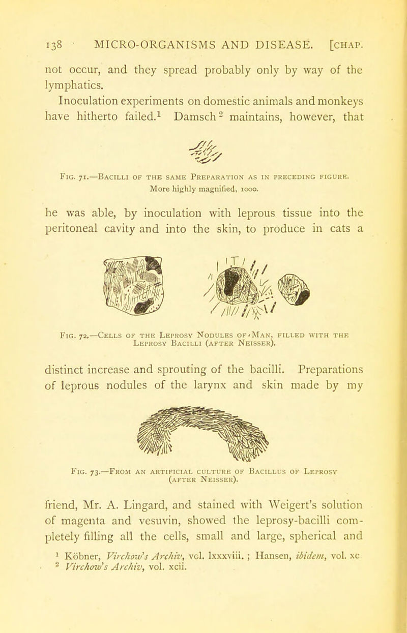 not occur, and they spread probably only by way of the lymphatics. Inoculation experiments on domestic animals and monkeys have hitherto failed.1 Damsch2 maintains, however, that Fig. 71.—Bacilli of the same Preparation as in preceding figure. he was able, by inoculation with leprous tissue into the peritoneal cavity and into the skin, to produce in cats a distinct increase and sprouting of the bacilli. Preparations of leprous nodules of the larynx and skin made by my Fig. 73.—From an artificial culture of Bacillus of Leprosy (after Neisser). friend, Mr. A. Lingard, and stained with Weigert's solution of magenta and vesuvin, showed the leprosy-bacilli com- pletely filling all the cells, small and large, spherical and 1 Kobner, Virchow's Archiv, vol. lxxxviii. ; Hansen, ibidem, vol. xc 2 Virchow's Archiv, vol. xcii. More highly magnified, 1000. Fig. 72.—Cells of the Leprosy Nodules of<Man, filled with the Leprosy Bacilli (after Neisser).