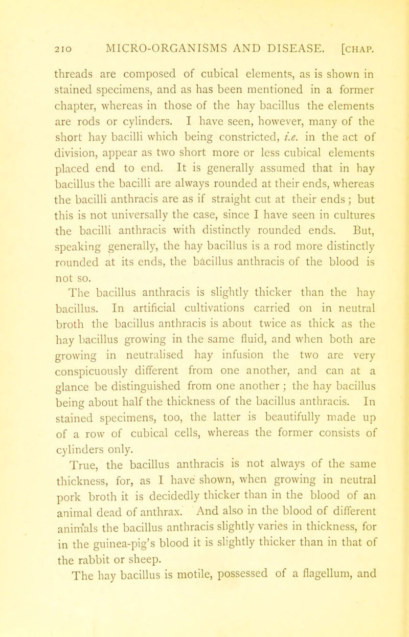 threads are composed of cubical elements, as is shown in stained specimens, and as has been mentioned in a former chapter, whereas in those of the hay bacillus the elements are rods or cylinders. I have seen, however, many of the short hay bacilli which being constricted, i.e. in the act of division, appear as two short more or less cubical elements placed end to end. It is generally assumed that in hay bacillus the bacilli are always rounded at their ends, whereas the bacilli anthracis are as if straight cut at their ends; but this is not universally the case, since I have seen in cultures the bacilli anthracis with distinctly rounded ends. But, speaking generally, the hay bacillus is a rod more distinctly rounded at its ends, the bacillus anthracis of the blood is not so. The bacillus anthracis is slightly thicker than the hay bacillus. In artificial cultivations carried on in neutral broth the bacillus anthracis is about twice as thick as the hay bacillus growing in the same fluid, and when both are growing in neutralised hay infusion the two are very conspicuously different from one another, and can at a glance be distinguished from one another ; the hay bacillus being about half the thickness of the bacillus anthracis. In stained specimens, too, the latter is beautifully made up of a row of cubical cells, whereas the former consists of cylinders only. True, the bacillus anthracis is not always of the same thickness, for, as I have shown, when growing in neutral pork broth it is decidedly thicker than in the blood of an animal dead of anthrax. And also in the blood of different animals the bacillus anthracis slightly varies in thickness, for in the guinea-pig's blood it is slightly thicker than in that of the rabbit or sheep. The hay bacillus is motile, possessed of a flagellum, and