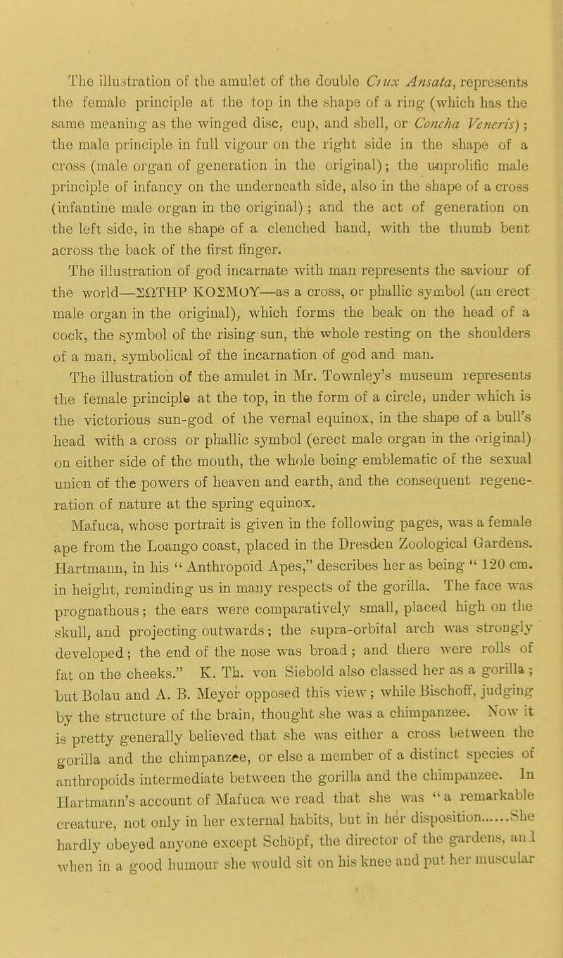 The illiLitration of the amulet of the double Ciux Atisaia, represents the female principle at the top in the shape of a ring (which has the same meaning as the winged disc, cup, and shell, or Concha Veneris); the male principle in full vigour on the right side in the shape of a cross (male organ of generation in the original); the miprolific male principle of infancy on the underneath side, also in the shape of a cross (infantine male organ in the original); and the act of generation on the left side, in the shape of a clenched hand, with the thumb bent across the back of the first finger. The illustration of god incarnate with man represents the saviour of the world—2QTHP KOSMOY—as a cross, or phallic symbol (an erect male organ in the original), which forms the beak on the head of a cock, the symbol of the rising sun, th'e whole resting on the shoulders of a man, symbolical of the incarnation of god and man. The illustration of the amulet in Mr, Townley's museum represents the female principle at the top, in the form of a circle, under which is the victorious sun-god of the vernal equinox, in the shape of a bull's head with a cross or phallic symbol (erect male organ in the original) on either side of the mouth, the whole being emblematic of the sexual union of the powers of heaven and earth, and the consequent regene- ration of nature at the spring equinox. Mafuca, whose portrait is given in the following pages, was a female ape from the Loango coast, placed in the Dresden Zoological Gardens. Hartmann, in his  Anthropoid Apes, describes her as being  120 cm. in height, reminding us in many respects of the gorilla. The face was prognathous; the ears were comparatively small, placed high on the skull, and projecting outwards; the supra-orbital arch was strongly developed; the end of the nose was broad; and there were rolls of fat on the cheeks. K. Th. von Siebold also classed her as a gorilla ; but Bolau and A. B. Meyer opposed this view; while Bischoff, judging by the structure of the brain, thought she was a chimpanzee. Now it is pretty generally believed that she was either a cross between the gorilla and the chimpanzee, or else a member of a distinct species of anthropoids intermediate between the gorilla and the chimpanzee. In Harfcmann's account of Mafuca we read that she was  a remarkable creature, not only in her external habits, but in her disposition She hardly obeyed anyone except SchUpf, the director of the gardens, an 1 when in a good humour she would sit on his knee and put her muscular