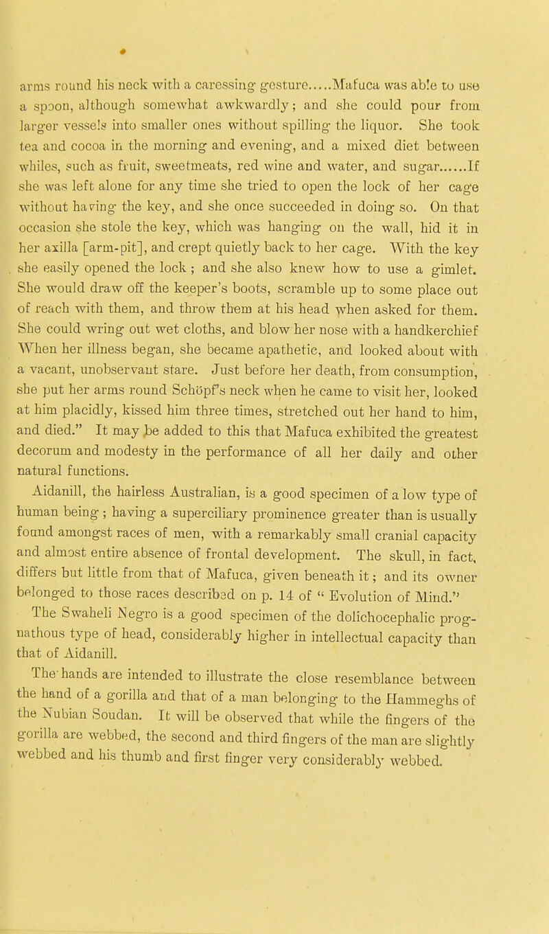 arms round his neck with a caressing- gesture Mafuca was able tu use a spoon, althoug-h somewhat awkwardly; and she could pour from, larger vessels into smaller ones without spilling the liquor. She took lea and cocoa in the morning and evening, and a mixed diet between whiles, such as fruit, sweetmeats, red wine and water, and sugar If she was left alone for any time she tried to open the lock of her cage without having the key, and she once succeeded in doing so. On that occasion she stole the key, which was hanging on the wall, hid it in her axilla [arm-pit], and crept quietly back to her cage. With the key she easily opened the lock; and she also knew how to use a gimlet. She would draw off the keeper's boots, scramble up to some place out of reach with them, and throw them at his head when asked for them. She could wring out wet cloths, and blow her nose with a handkerchief When her illness began, she became apathetic, and looked about with a vacant, unobservant stare. Just before her death, from consumption, she put her arms round Schi5pf's neck when he came to visit her, looked at him placidly, kissed him three times, stretched out her hand to him, and died. It may be added to this that Mafuca exhibited the greatest decorum and modesty in the performance of all her daily and other natural functions. Aidanill, the hairless Australian, is a good specimen of a low type of human being ; having a superciliary prominence greater than is usually found amongst races of men, with a remarkably small cranial capacity and almost entire absence of frontal development. The skull, in fact, differs but little from that of Mafuca, given beneath it; and its owner belonged to those races described on p. 14 of  Evolution of Mind. The Swaheli Negro is a good specimen of the dolichocephalic prog- nathous type of head, considerably higher in intellectual capacity than that of Aidanill. The- hands are intended to illustrate the close resemblance between the hand of a gorilla and that of a man belonging to the Ilammeghs of the Nubian Soudan. It will be observed that while the fingers of the gorilla are webbed, the second and third fingers of the man are slightly webbed and his thumb and fii-st finger very considerably webbed.