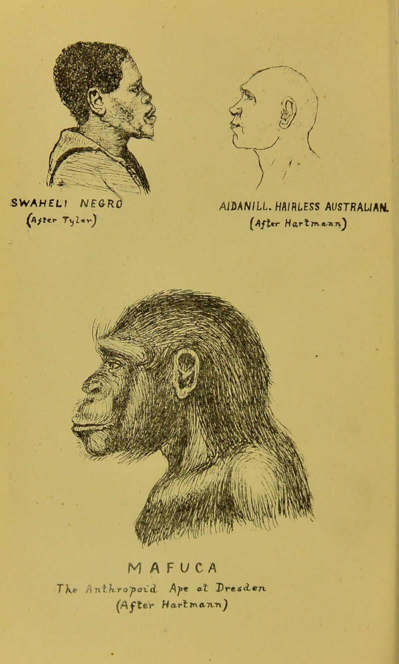 SWAHEL1 NE&RO AlUNILL HMmSS MSTRMl/^H, M A F U C A TK* Anf.hrofta-Ctt /^^e «t DreifLezi.