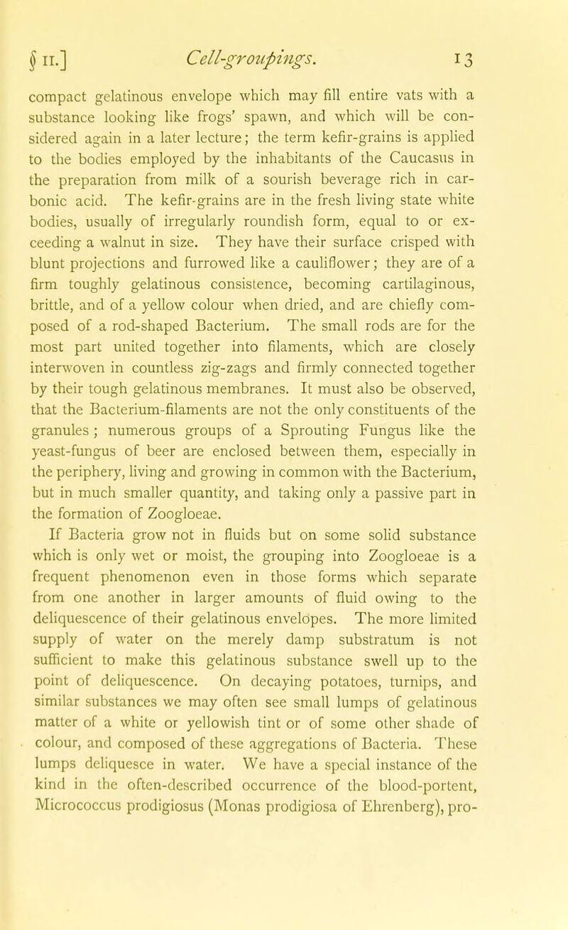 compact gelatinous envelope which may fiU entire vats with a substance looking like frogs' spawn, and which will be con- sidered again in a later lecture; the term kefir-grains is applied to the bodies employed by the inhabitants of the Caucasns in the preparation from milk of a sourish beverage rieh in car- bonic acid. The kefir-grains are in the fresh living State white bodies, usually of irregularly roundish form, equal to or ex- ceeding a walnut in size. They have their surface crisped with blunt projections and furrowed like a cauliflower; they are of a firm toughly gelatinous consislence, becoming cartilaginous, brittle, and of a yellow colour when dried, and are chiefly com- posed of a rod-shaped Bacterium. The small rods are for the most part united together into filaments, which are closely intersvoven in countless zig-zags and firmly connected together by their tough gelatinous membranes. It must also be observed, that the Bacterium-filaments are not the only constituents of the granules ; numerous groups of a Sprouting Fungus like the yeast-fungus of beer are enclosed between them, especially in the periphery, living and growing in common with the Bacterium, but in much smaller quantity, and taking only a passive part in the formation of Zoogloeae. If Bacteria grow not in fluids but on some solid substance which is only wet or moist, the grouping into Zoogloeae is a frequent phenomenon even in those forms which separate from one another in larger amounts of fluid owing to the deliquescence of their gelatinous envelopes. The more limited supply of water on the merely damp substratum is not sufficient to make this gelatinous substance swell up to the point of deliquescence. On decaying potatoes, turnips, and similar substances we may often see small lumps of gelatinous matter of a white or yellowish tint or of some other shade of colour, and composed of these aggregations of Bacteria. These lumps deliquesce in water. We have a special instance of the kind in the oftcn-described occurrcnce of the blood-portent, Micrococcus prodigiosus (Monas prodigiosa of Ehrenberg), pro-