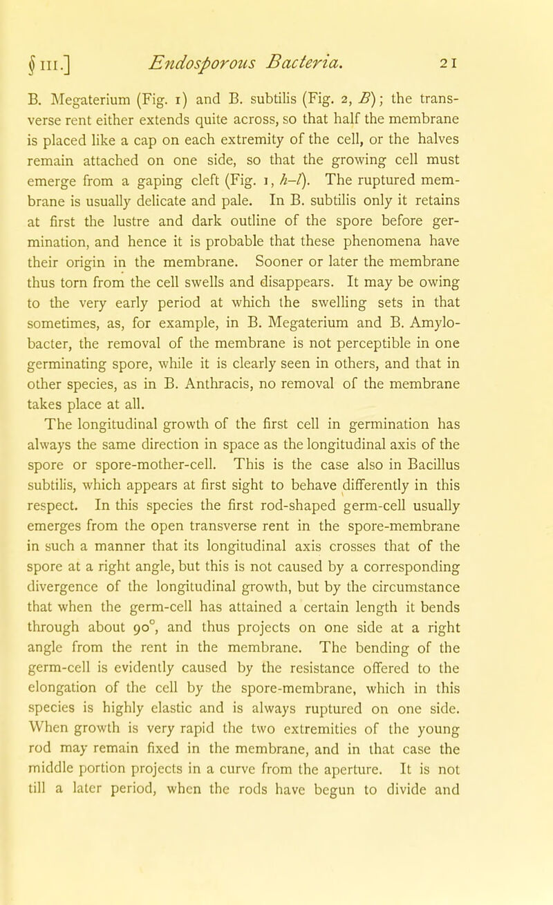 B. Megaterium (Fig. i) and B. subtilis (Fig. 2, E); the trans- verse rent either extends quite across, so that half the membrane is placed like a cap on each extremity of the cell, or the halves remain attached on one side, so that the growing cell must emerge from a gaping cleft (Fig. j , h-t). The ruptured mem- brane is usually delicate and pale. In B. subtilis only it retains at first the lustre and dark outline of the spore before ger- mination, and hence it is probable that these phenomena have their origin in the membrane. Sooner or later the membrane thus torn from the cell swells and disappears. It may be owing to the very early period at which the swelling sets in that sometimes, as, for example, in B. Megaterium and B. Amylo- bacter, the removal of the membrane is not perceptible in one germinating spore, while it is clearly seen in others, and that in other Speeles, as in B. Anthracis, no removal of the membrane takes place at all. The longitudinal growth of the first cell in germination has always the same direction in space as the longitudinal axis of the spore or spore-mother-cell. This is the case also in Bacillus subtilis, which appears at first sight to behave differently in this respect. In this species the first rod-shaped germ-ceU usually emerges from the open transverse rent in the spore-membrane in such a manner that its longitudinal axis crosses that of the spore at a right angle, but this is not caused by a corresponding divergence of the longitudinal growth, but by the circumstance that when the germ-cell has attained a certain length it bends through about 90° and thus projects on one side at a right angle from the rent in the membrane. The bending of the germ-cell is evidently caused by the resistance offered to the elongation of the cell by the spore-membrane, which in this species is highly elastic and is always ruptured on one side. When growth is very rapid the two extremities of the young rod may remain fixed in the membrane, and in that case the middle portion projects in a curve from the aperture. It is not tili a laier period, when the rods have begun to divide and