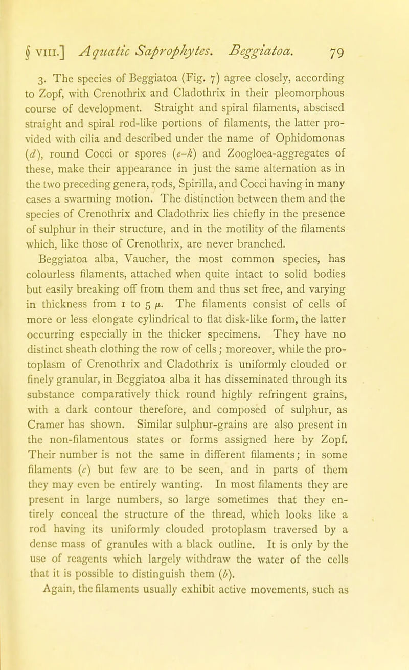 3. The species of Beggiatoa (Fig. 7) agree closely, according to Zopf, with Crenothrix and Cladothrix in their pleomorphous course of development. Straight and Spiral filaments, abscised straight and spiral rod-like portions of filaments, the latter pro- vided with cilia and described under the name of Ophidomonas (d\ round Cocci or spores {e-Ji) and Zoogloea-aggregates of these, make their appearance in just the same alternation as in the two preceding genera, rods, Spirilla, and Cocci having in many cases a swarming motion. The distinction between them and the species of Crenothrix and Cladothrix lies chiefly in the presence of sulphur in their structure, and in the motility of the filaments which, like those of Crenothrix, are never branched. Beggiatoa alba, Vaucher, the most common species, has colourless filaments, attached when quite intact to solid bodies bat easily breaking off from them and thus set free, and varying in thickness from i to 5 /x. The filaments consist of cells of more or less elongate cylindrical to flat disk-like form, the latter occurring especially in the thicker specimens. They have no distinct sheath clothing the row of cells; moreover, while the pro- toplasm of Crenothrix and Cladothrix is uniformly clouded or finely granulär, in Beggiatoa alba it has disseminated through its substance comparatively thick round highly refringent grains, with a dark contour therefore, and composed of sulphur, as Cramer has shown. Similar sulphur-grains are also present in the non-filamentous states or forms assigned here by Zopf. Their number is not the same in different filaments; in some filaments (<:) but few are to be seen, and in parts of them they may even be entirely wanting. In most filaments they are present in large numbers, so large sometimes that they en- tirely conceal the structure of the thread, which looks like a rod having its uniformly clouded protoplasm traversed by a dense mass of granules with a black outline. It is only by the use of reagents which largely withdraw the water of the cells that it is possible to distinguish them (/5). Again, the filaments usually exhibit active movements, such as