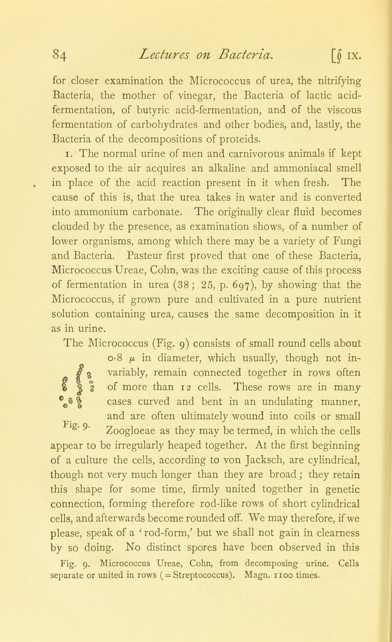 for closer examination the Micrococcus of urea, the nitrifying Bacteria, the mother of vinegar, the Bacteria of lactic acid- fermentation, of butyric acid-fermentation, and of the viscous fermentation of carbohydrates and other bodies, and, lastly, the Bacteria of the decompositions of proteids. I. The normal urine of men and carnivorous animals if kept exposed to the air acquires an alkaline and ammoniacal smell in place of the acid reaction präsent in it when fresh. The cause of this is, that the urea takes in water and is converted into ammonium carbonate. The originally clear fluid becomes clouded by the presence, as examination shows, of a number of lower organisms, among which there may be a variety of Fungi and Bacteria. Pasteur first proved that one of these Bacteria, Micrococcus Ureae, Cohn, was the exciting cause of this process of fermentation in urea (38; 25, p. 697), by showing that the Micrococcus, if grown pure and cultivated in a pure nutrient Solution containing urea, causes the same decomposition in it as in urine. The Micrococcus (Fig. 9) consists of small round cells about 0-8 /Lt in diameter, which usually, though not in- 3 variably, remain connected together in rows often I of more than 12 cells. These rows are in many %® 0 cases curved and beut in an undulating manner, and are often ultimately wound into coils or small ^' Zoogloeae as they may be termed, in which the cells appear to be irregularly heaped together. At the first beginning of a culture the cells, according to von Jacksch, are cylindrical, though not very much longer than they are broad ; they retain this shape for some time, firmly united together in genetic connection, forming therefore rod-like rows of short cylindrical cells, and afterwards become rounded ofl. We may therefore, if we please, speak of a ' rod-form,' but we shall not gain in clearness by so doing. No distinct spores have been observed in this Fig. 9. Micrococcus Ureae, Cohn, from decomposing urine. Cells separate or united in rows ( = Streptococcus). Magn. iioo times.