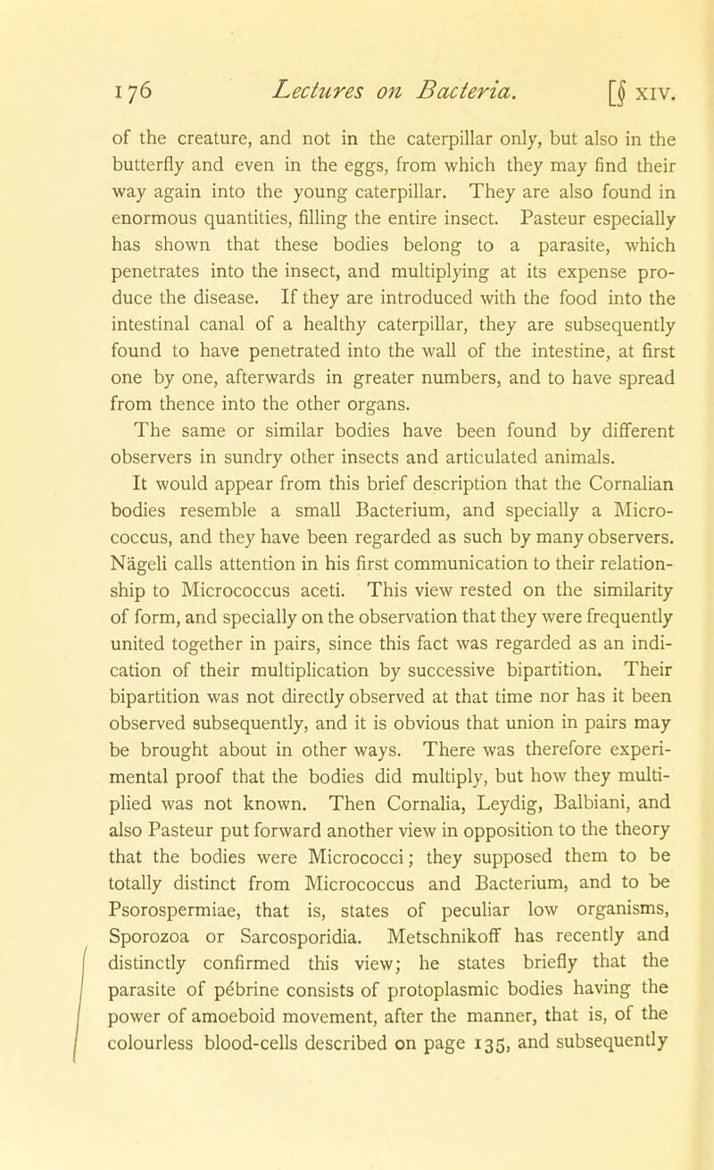 of the creature, and not in the Caterpillar only, but also in the butterfiy and even in the eggs, from which they may find their way again into the young Caterpillar. They are also found in enormous quantities, Alling the entire insect. Pasteur especially has shown that these bodies belong to a parasite, which penetrates into the insect, and multiplying at its expense pro- duce the disease. If they are introduced with the food into the intestinal canal of a healthy caterpillar, they are subsequently found to have penetrated into the wall of the intestina, at first one by one, afterwards in greater numbers, and to have spread from thence into the other organs. The same or similar bodies have been found by diflferent observers in sundry other insects and articulated animals. It would appear from this brief description that the Cornalian bodies resemble a small Bacterium, and specially a Micro- coccus, and they have been regarded as such by many observers. Nägeli calls attention in his first communication to their relation- ship to Micrococcus aceti. This view rested on the similarity of form, and specially on the Observation that they were frequently united together in pairs, since this fact was regarded as an indi- cation of their multiplication by successive bipartition. Their bipartition was not directly observed at that time nor has it been observed subsequently, and it is obvious that union in pairs may be brought about in other ways. There was therefore experi- mental proof that the bodies did multiply, but how they mvdti- plied was not known. Then Cornalia, Leydig, Balbiani, and also Pasteur put forward another view in Opposition to the theory that the bodies were Micrococci; they supposed them to be totally distinct from Micrococcus and Bacterium, and to be Psorospermiae, that is, states of peculiar low organisms, Sporozoa or Sarcosporidia. Metschnikoff has recently and distinctly confirmed this view; he states briefly that the parasite of pdbrine consists of protoplasmic bodies having the power of amoeboid movement, after the manner, that is, of the colourless blood-cells described on page 135, and subsequently