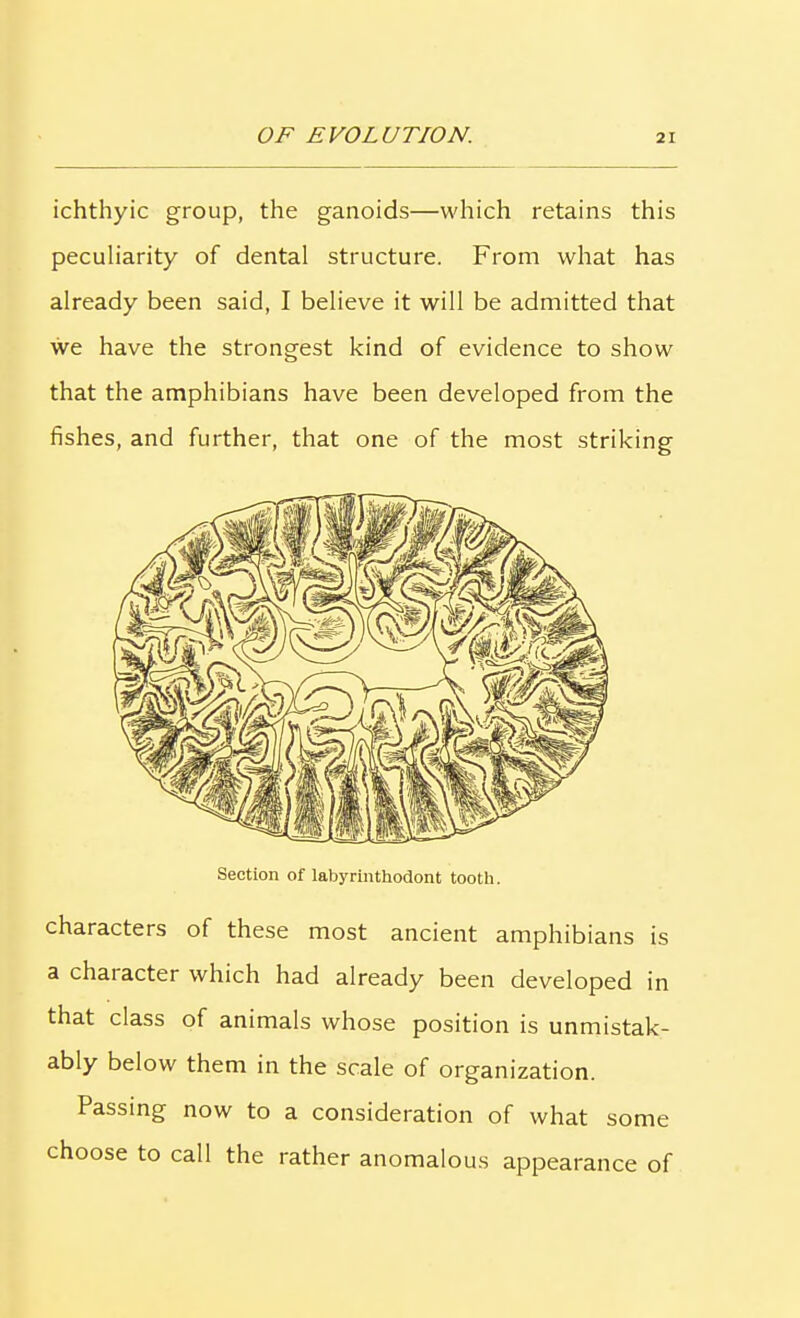 ichthyic group, the ganoids—which retains this peculiarity of dental structure. From what has already been said, I believe it will be admitted that we have the strongest kind of evidence to show that the amphibians have been developed from the fishes, and further, that one of the most striking characters of these most ancient amphibians is a chaiacter which had already been developed in that class of animals whose position is unmistak- ably below them in the scale of organization. Passing now to a consideration of what some choose to call the rather anomalous appearance of