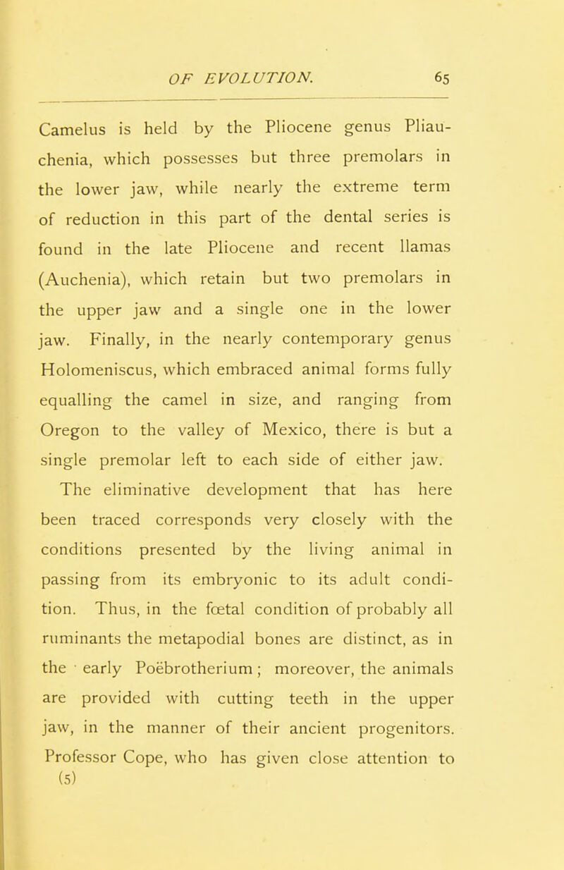 Camelus is held by the Pliocene genus Pliau- chenia, which possesses but three premolars in the lower jaw, while nearly the extreme term of reduction in this part of the dental series is found in the late Pliocene and recent llamas (Auchenia), which retain but two premolars in the upper jaw and a single one in the lower jaw. Finally, in the nearly contemporary genus Holomeniscus, which embraced animal forms fully equalling the camel in size, and ranging from Oregon to the valley of Mexico, there is but a single premolar left to each side of either jaw. The eliminative development that has here been traced corresponds very closely with the conditions presented by the living animal in passing from its embryonic to its adult condi- tion. Thus, in the foetal condition of probably all ruminants the metapodial bones are distinct, as in the • early Poebrotherium; moreover, the animals are provided with cutting teeth in the upper jaw, in the manner of their ancient progenitors. Professor Cope, who has given close attention to (5)