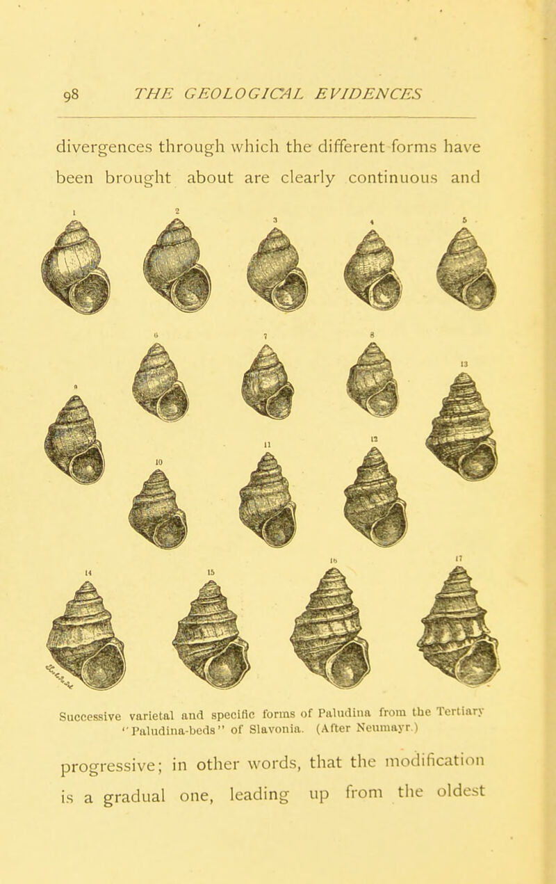 divergences through which the different forms have been brought about are clearly continuous and 3 Successive varietal and specific forms of Paludina from the Tertian ** Paludina-beds ” of Slavonia. (After Neumayr.) progressive; in other words, that the modification is a gradual one, leading up from the oldest
