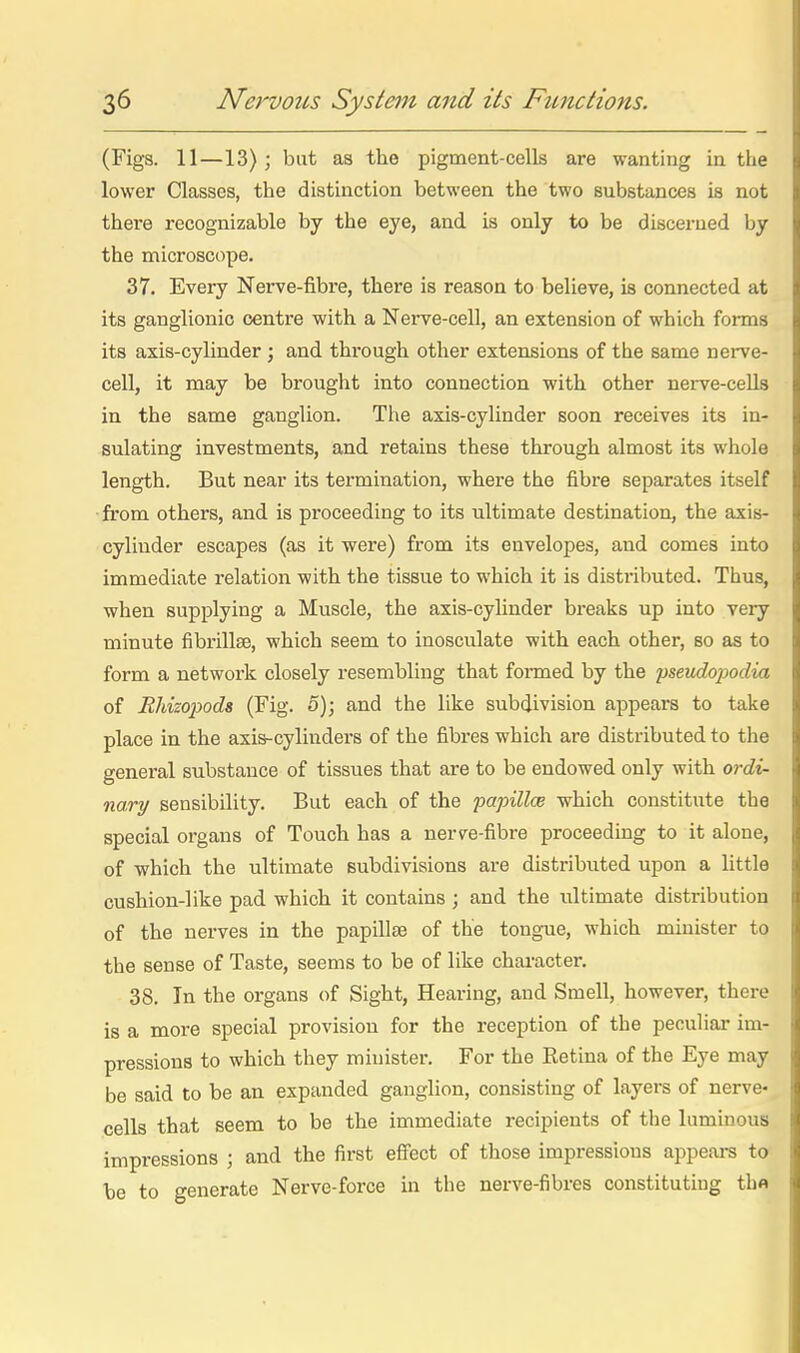 (Figs. 11—13); but as the pigment-cells are wanting in the j lower Classes, the distinction between the two substances is not | thei'e recognizable by the eye, and is only to be discerned by | the microscope. ; 37. Every Nerve-fibre, there is reason to believe, is connected at its ganglionic centre with a Nerve-cell, an extension of which forms \ its axis-cylinder ; and through other extensions of the same nerve- ' cell, it may be brought into connection with, other nerve-cells i; in the same ganglion. The axis-cylinder soon receives its in- j sulating investments, and retains these through almost its whole > length. But near its termination, where the fibre separates itself L from others, and is proceeding to its ultimate destination, the axis- < cylinder escapes (as it were) from its envelopes, and comes into > immediate relation with, the tissue to which it is disti'ibuted. Thus, [? when supplying a Muscle, the axis-cylinder breaks up into very [ minute fibrillse, which seem to inosculate with each other, so as to i form a network closely resembling that formed by the pseudojjodia i of Rhizoi^ods (Fig. 5); and the like subdivision appears to take k place in the axis-cylinders of the fibres which are distributed to the » general substance of tissues that are to be endowed only with ordi- li nary sensibility. But each of the papillce which constitute the |^ special organs of Touch has a nerve-fibre proceeding to it alone, |j of which the ultimate subdivisions are distributed upon a little ^ cushion-like pad which it contains ; and the ultimate distribution i of the nerves in the papillae of the tong-ue, which minister to * the sense of Taste, seems to be of like character. | 38. In the organs of Sight, Hearing, and Smell, however, there | is a more special provision for the reception of the peculiai' im- jli pressions to which they minister. For the Retina of the Eye may (J be said to be an expanded ganglion, consisting of layers of nerve- js cells that seem to be the immediate recipients of the luminous ^ impressions ; and the first efltect of those impressions appears to !»: be to generate Nerve-force in the nerve-fibres constituting tho |m