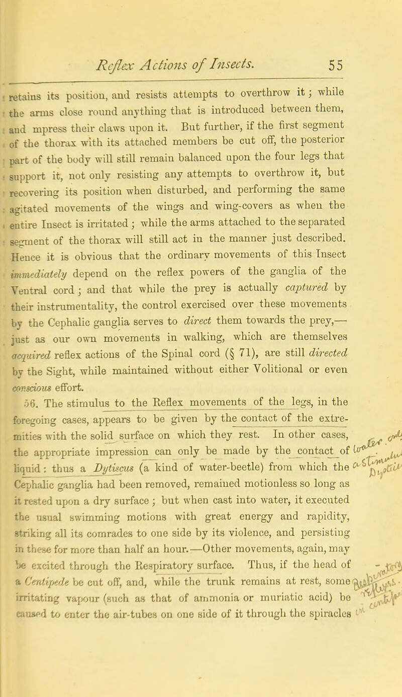 : retains its position, and resists attempts to overthrow it; while : the arms close rt)imd anything that is introduced between them, I and mpress their claws upon it. But further, if the first segment of the thorax with its attached members be cut off, the posterior part of the body will still remain balanced upon the four legs that ! support it, not only resisting any attempts to overthrow it, but • recovering its position when disturbed, and performing the same agitated movements of the wings and wing-covers as when the entire Insect is irritated ; while the arms attached to the separated sejrment of the thorax wiU still act in the manner just described. Hence it is obvious that the ordinary movements of this Tnsect mmediately depend on the reflex powers of the ganglia of the Ventral cord; and that while the prey is actually captured by their instrumentality, the control exercised over these movements by the Cephalic ganglia serves to direct them towards the prey,— just as our own movements in walking, which are themselves acquired reflex actions of the Spinal cord (§ 71), are still directed by the Sight, while maintained without either Volitional or even conscious effort. 56. The stimulus to the Reflex movements of the Jegs, in the foregoing cases, appears to be given by the contact of the extre- mitiea with the solid^ surface on which they rest. In other cases, the appropriate impression can only be made by the^ontact_of t(r<*^ ^ liquid : thus a Dythcus (a kind of water-beetle) from which the '^^^^i''' Cephalic ganglia had been removed, remained motiouless so long as it rested upon a dry surface ; but when cast into water, it executed the usual swimming motions with great energy and rapidity, striking all its comrades to one side by its violence, and persisting in these for more than half an hour.—Other movements, again, may be excited through the Respiratory surface. Thus, if the head of J^ijJ^ a Centijiede be cut off, and, while the trunk remains at rest, somef^j^fej^^T- irritating vapour (such as that of animonia or muriatic acid) be '^^J^ causfd to enter the air-tubes on one side of it through the spiracles